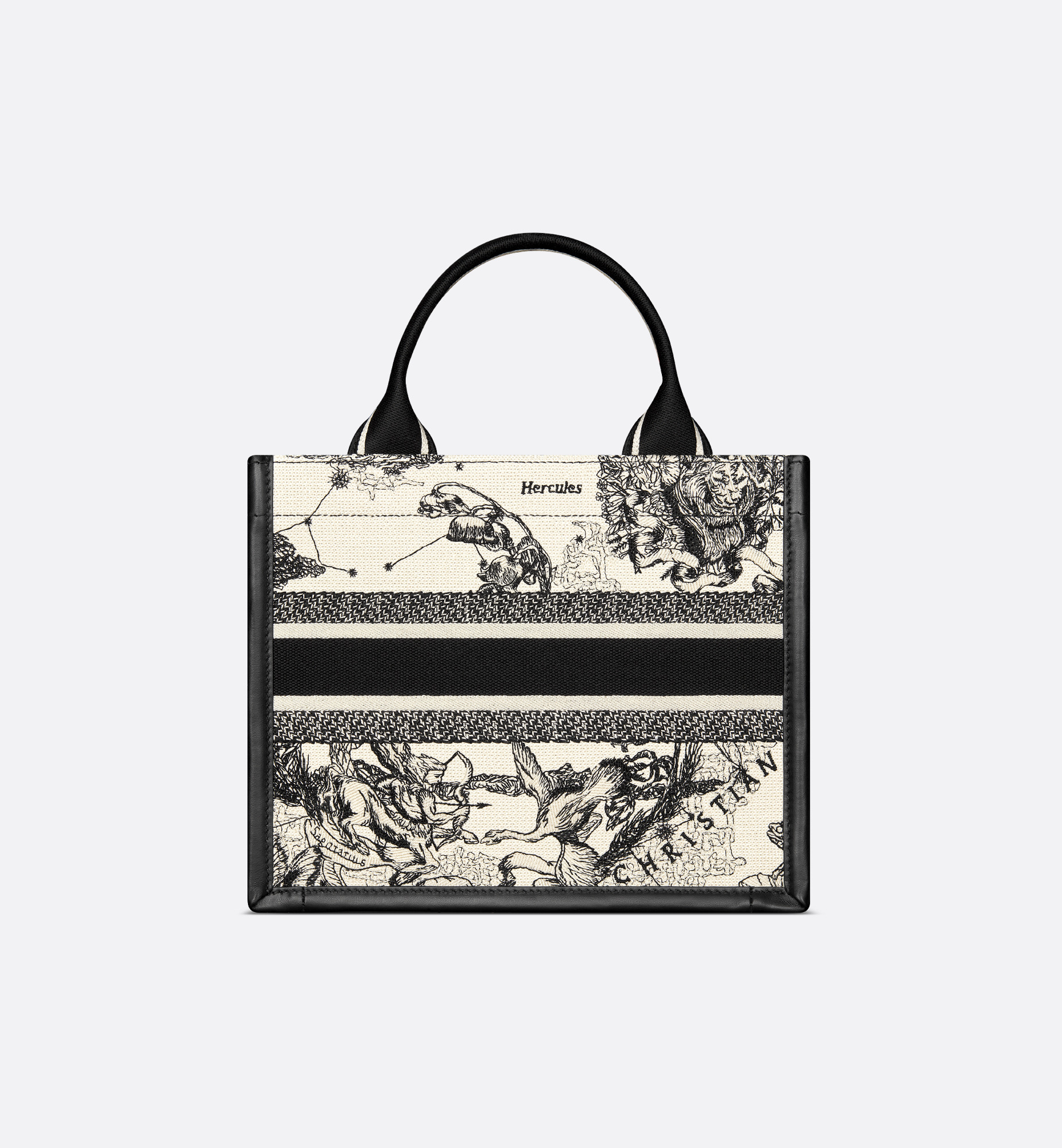 Small Dior Book Tote - 2