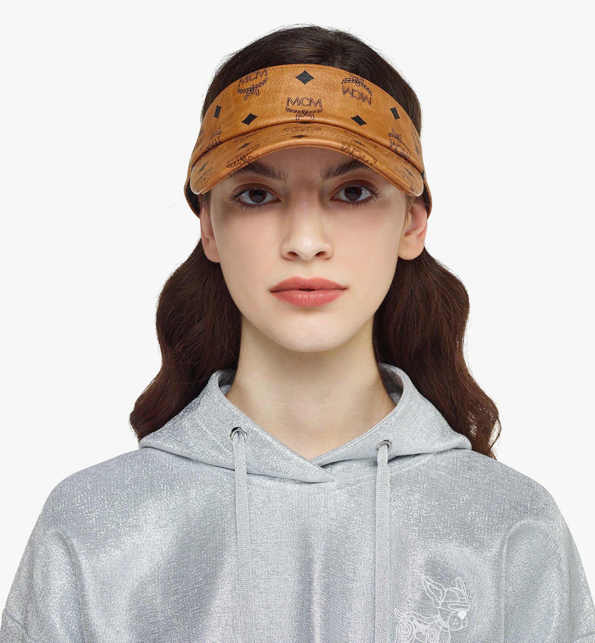 Visor in Visetos - 2