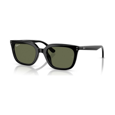 Ray-Ban RB4439D outlook