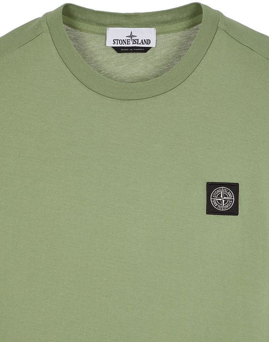 24113 SAGE GREEN - 3