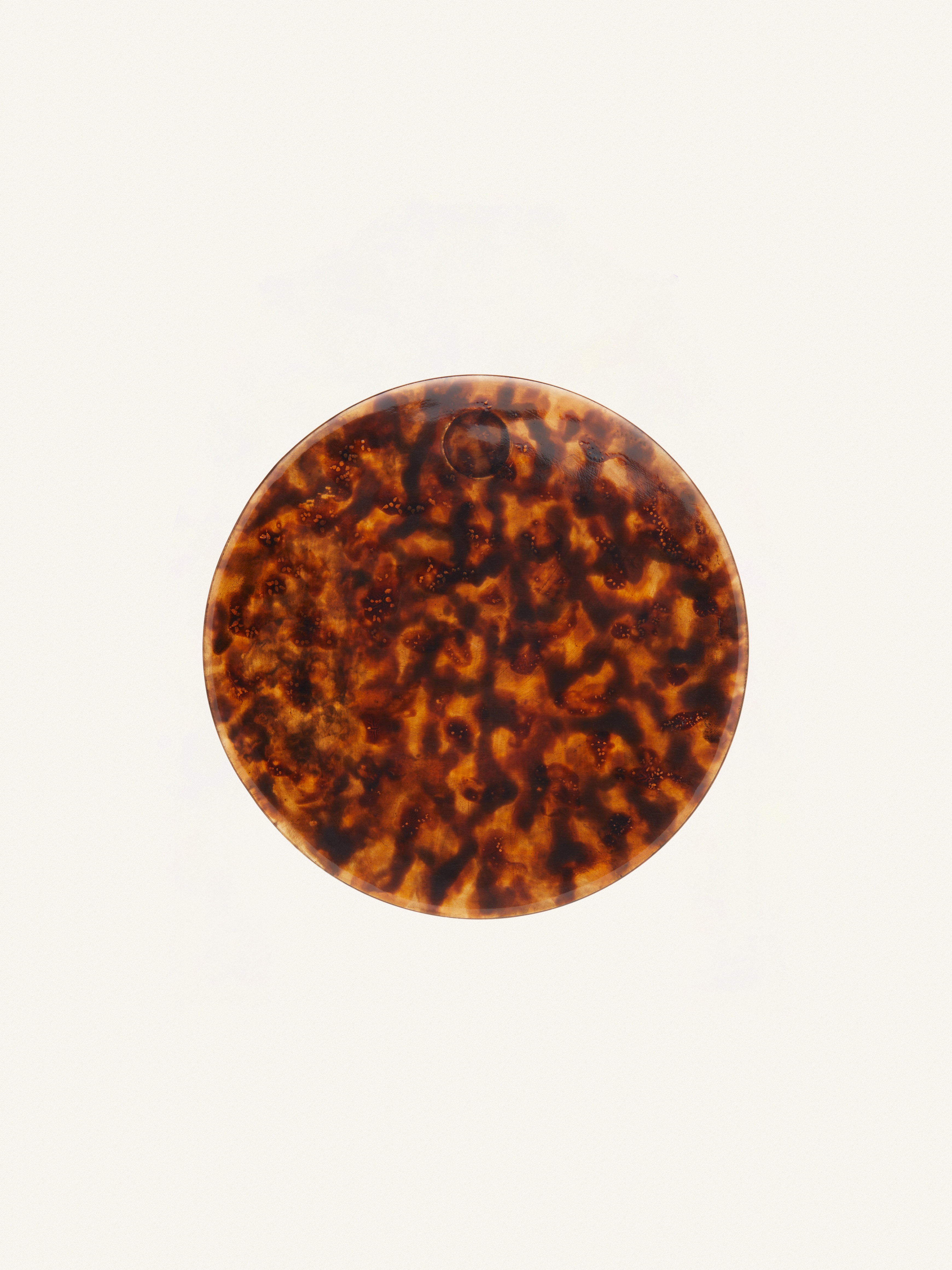 TORTOISE SMALL FLAT CIRCLE EARRING - 1