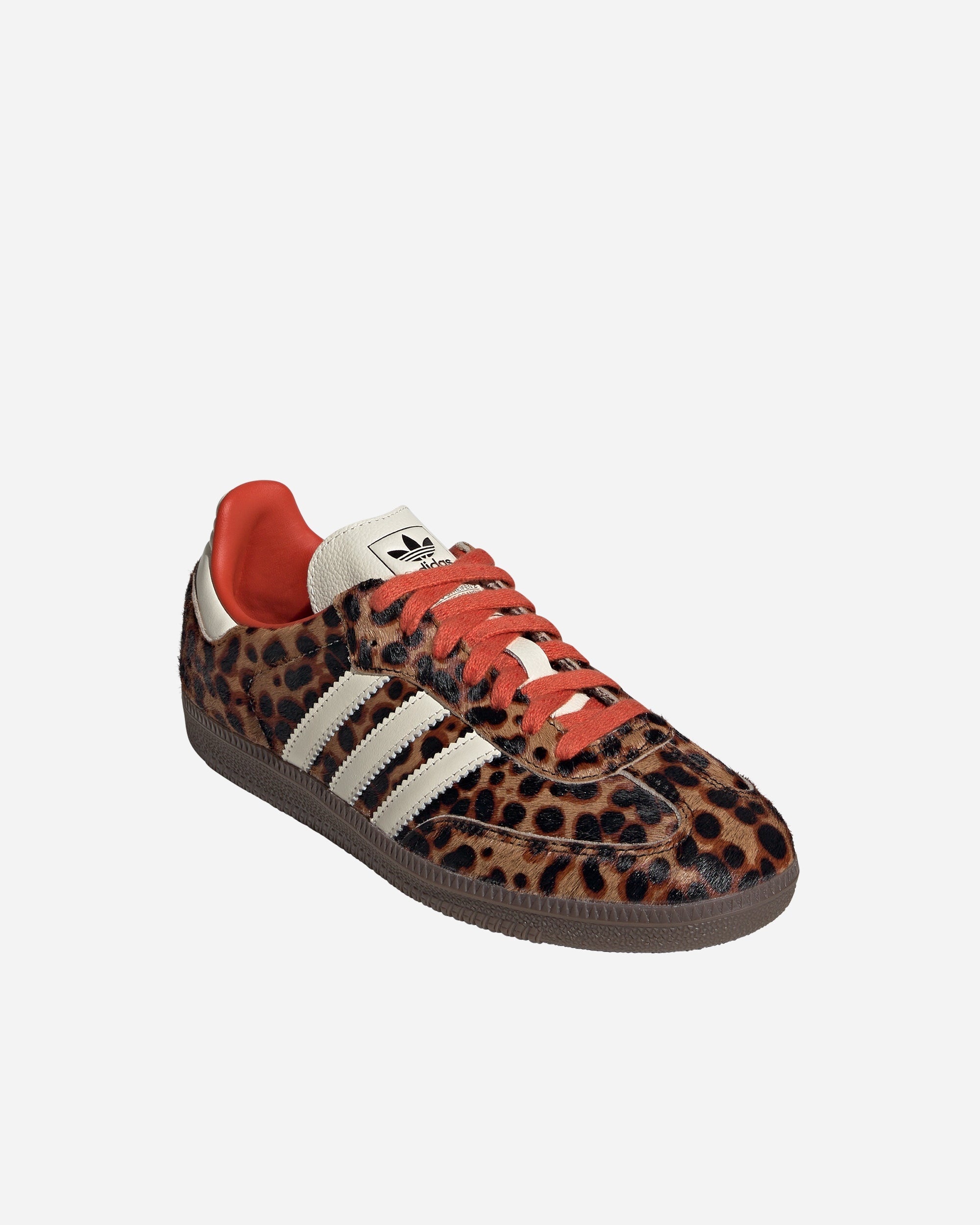 Samba OG - 2