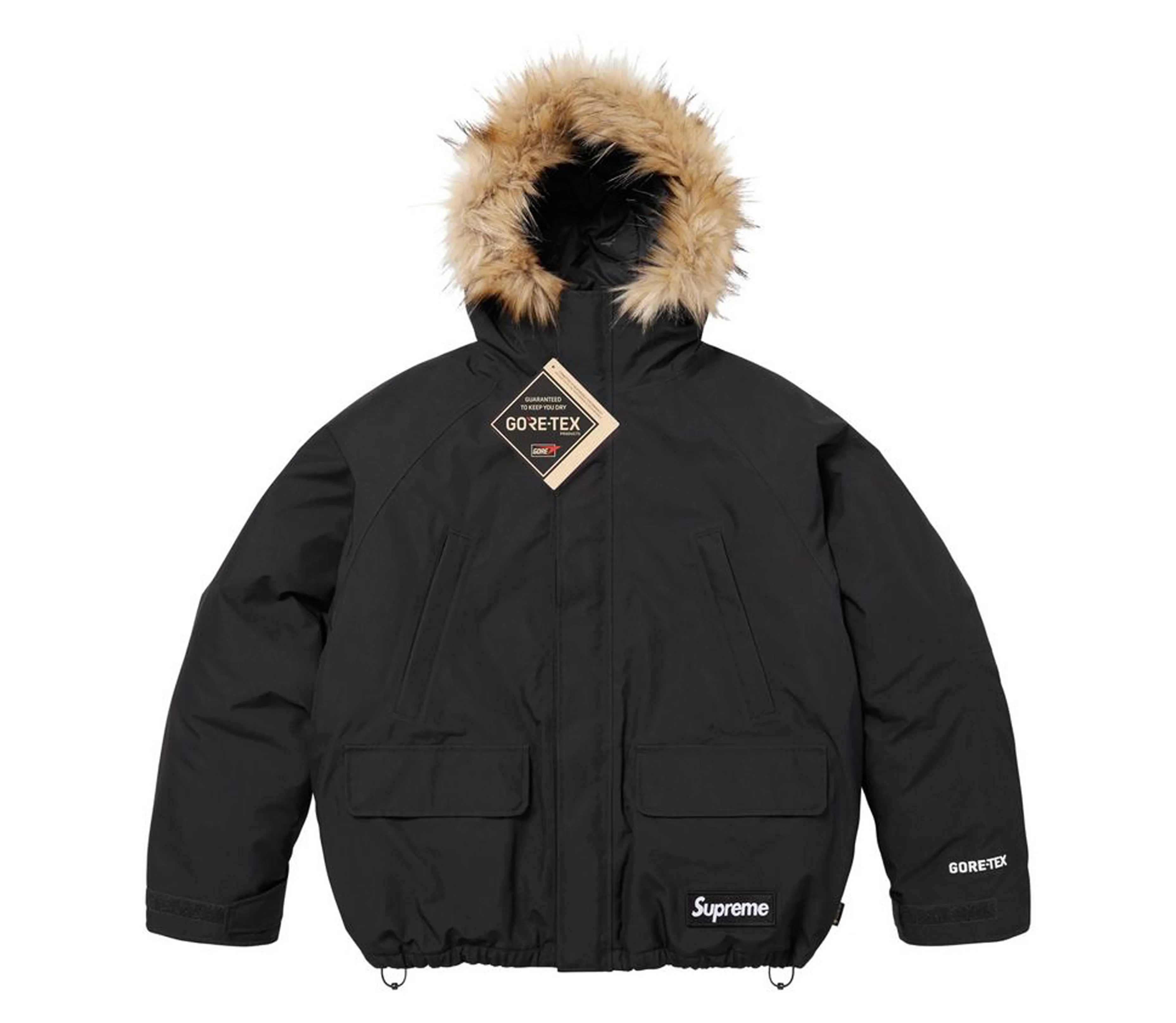 Supreme '2-in-1 GORE-TEX Parka + Reversible 700-Fill Down Liner Jacket' (Black) - 1