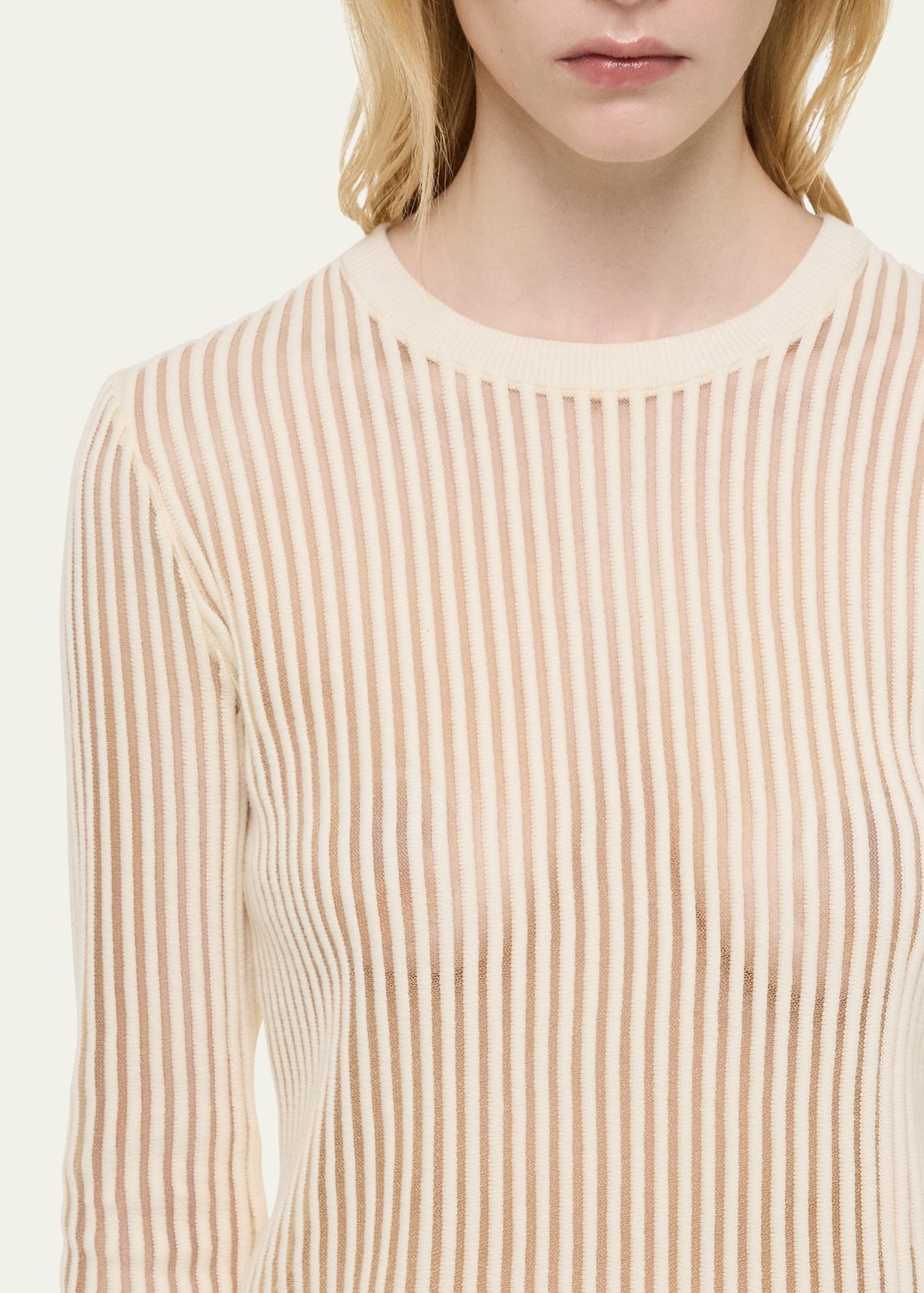 Sheer Stripe Crewneck Top - 5