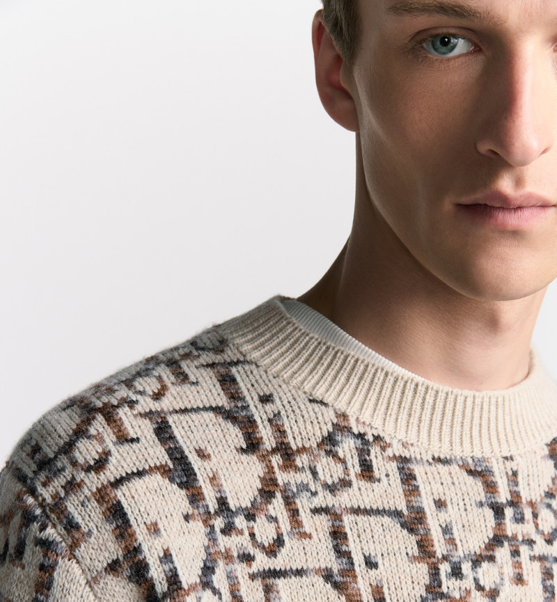 Dior Dior Oblique Sweater outlook
