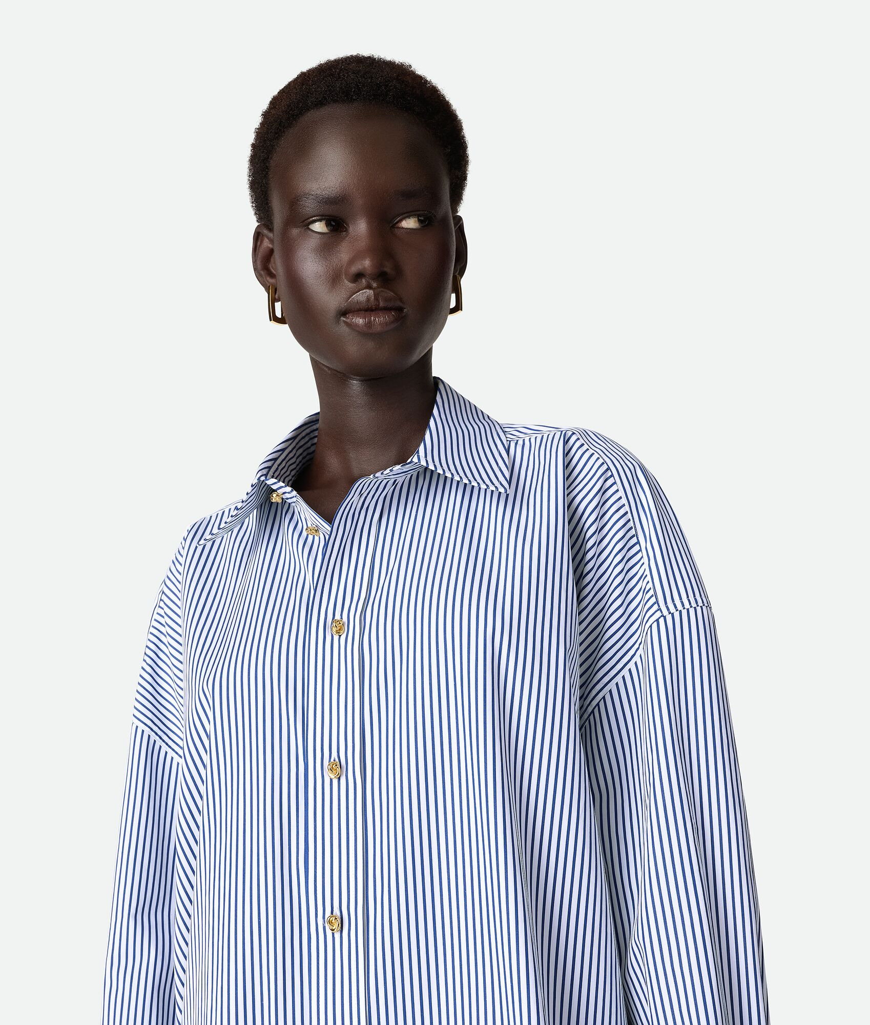 Pinstripe Cotton Poplin Dress - 4