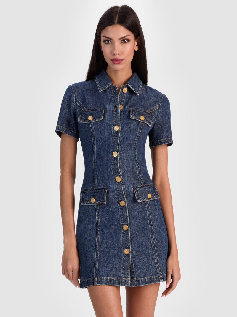 JAMIE DENIM MINI DRESS 5