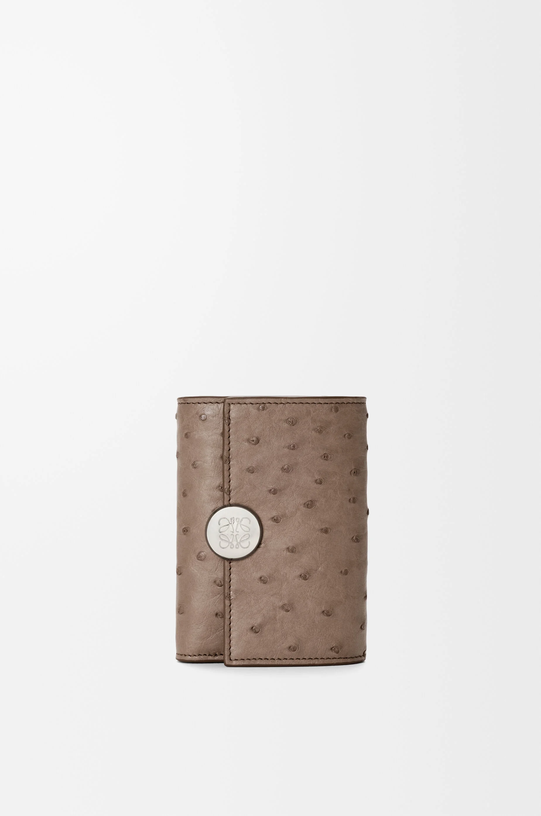 Pebble small vertical wallet in ostrich - 1