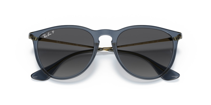 Ray-Ban ERIKA CLASSIC outlook