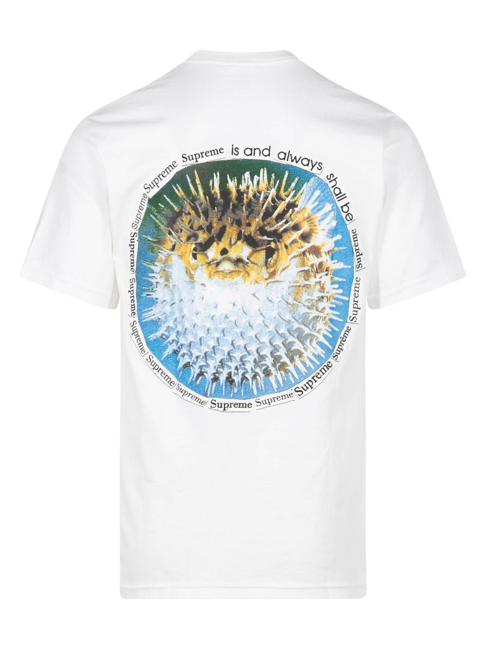 Blowfish cotton T-shirt - 3