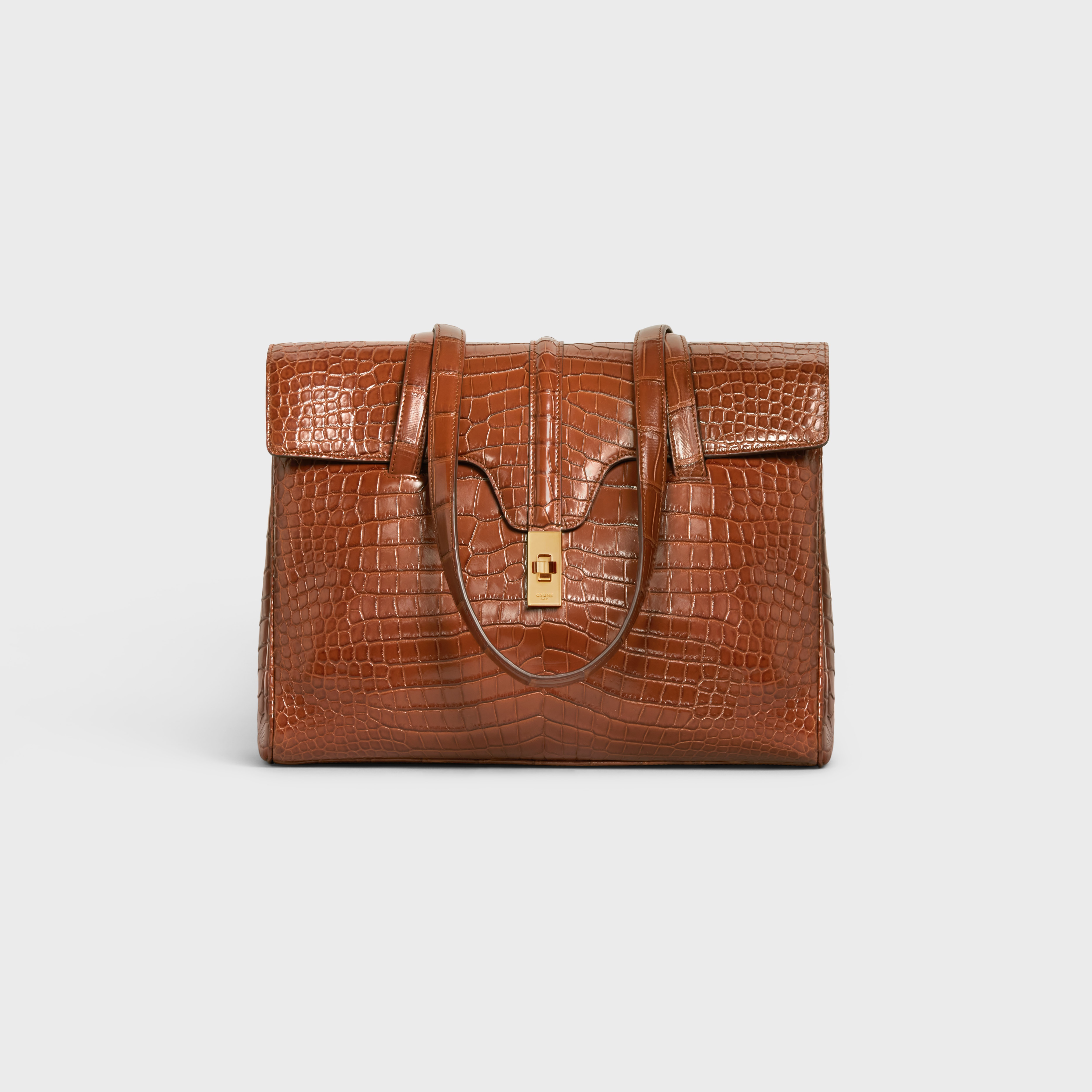 Medium Soft 16 Bag in crocodile - 1