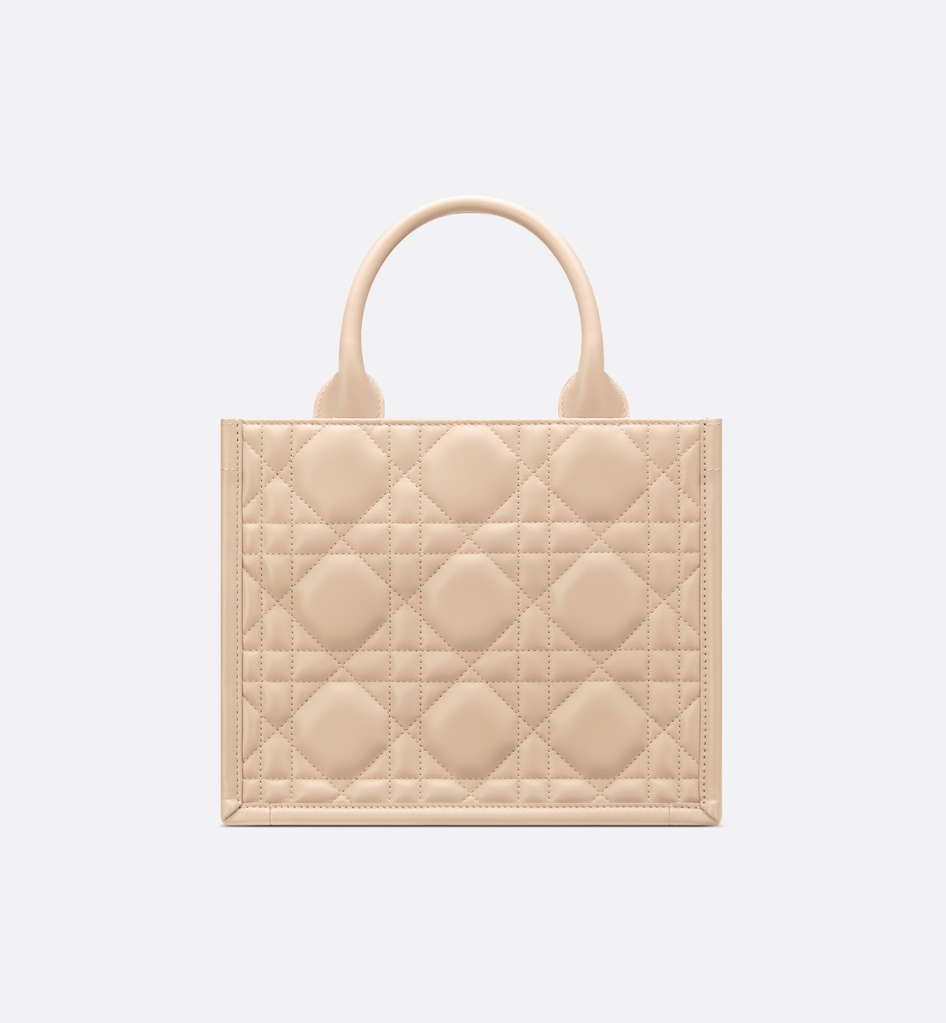 Small Dior Book Tote - 3