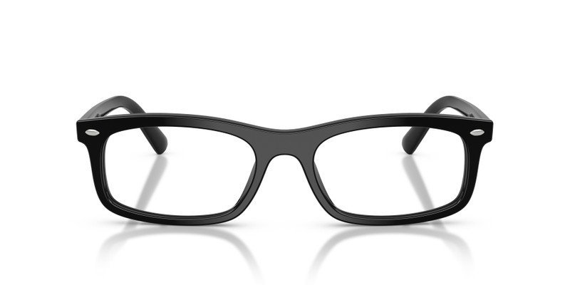 RB5450 OPTICS 4