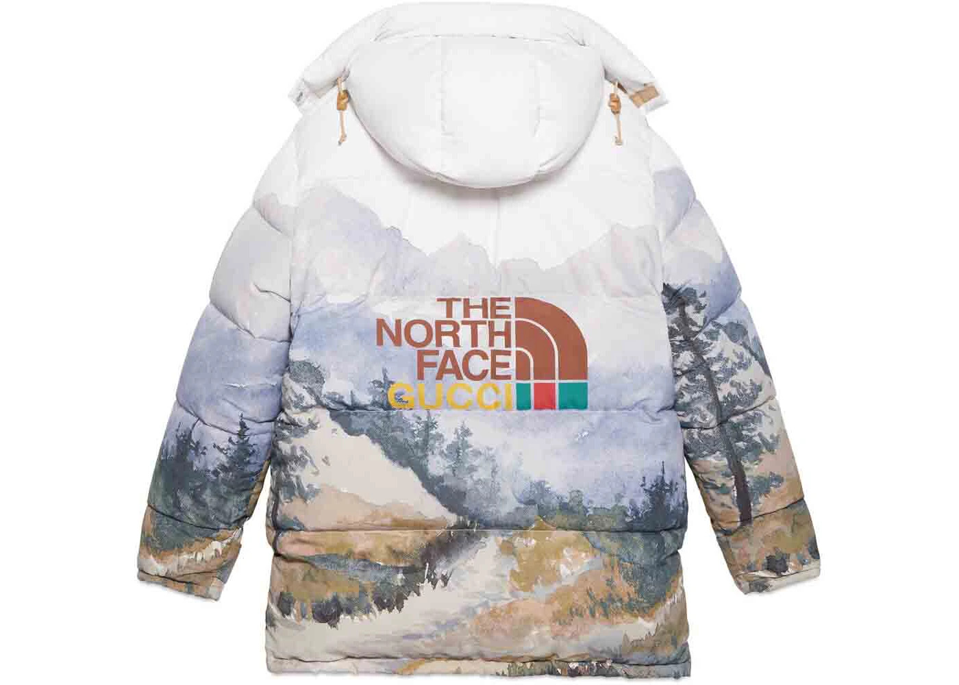 Gucci x The North Face Down Coat Trail Print - 2