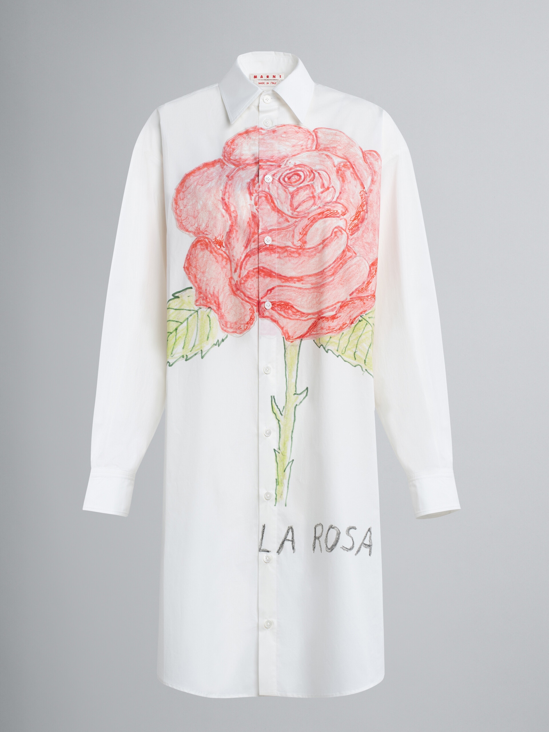 LA ROSA PRINT POPLIN DRESS - 1