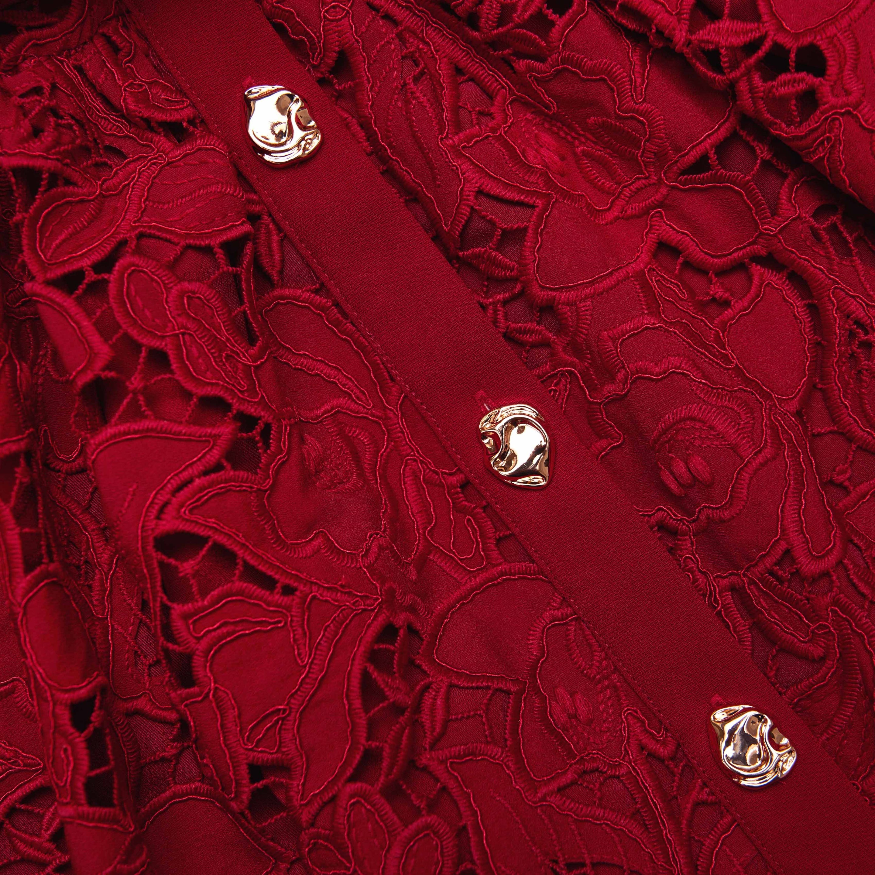 Burgundy Lace Collared Mini Dress - 5