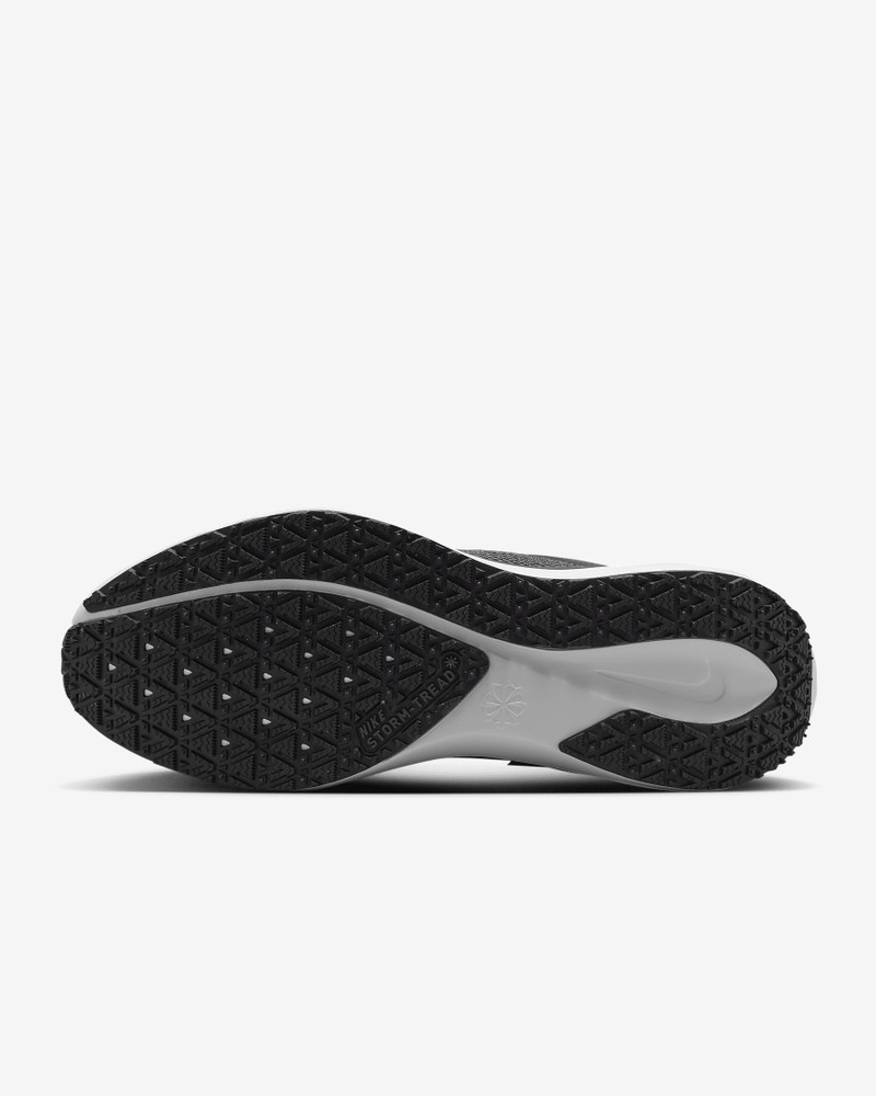 Nike Nike Pegasus 41 GORE-TEX Men's Waterproof Road Running Shoes outlook
