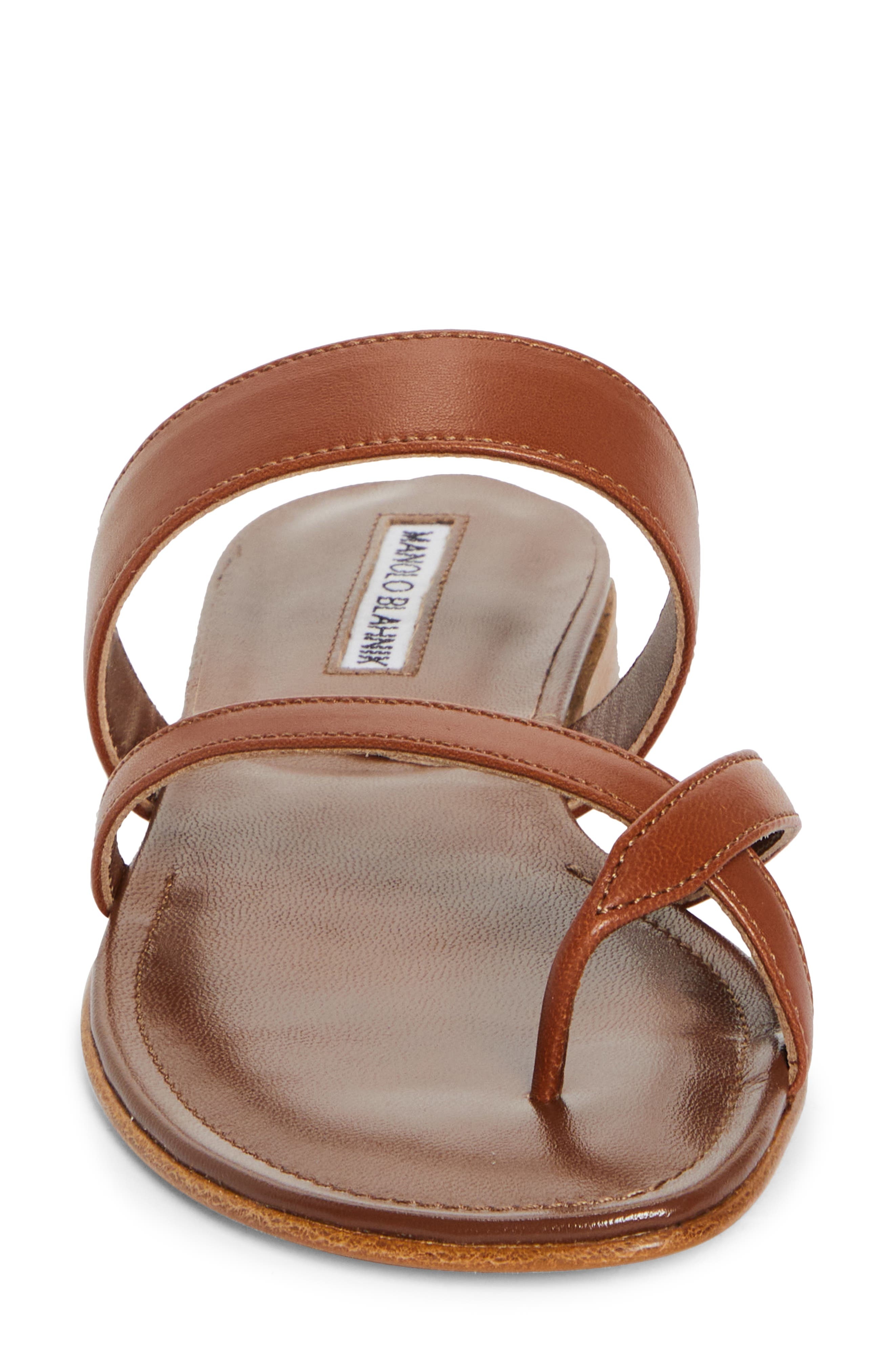 Manolo Blahnik Susa Sandal in Brown at Nordstrom - 4