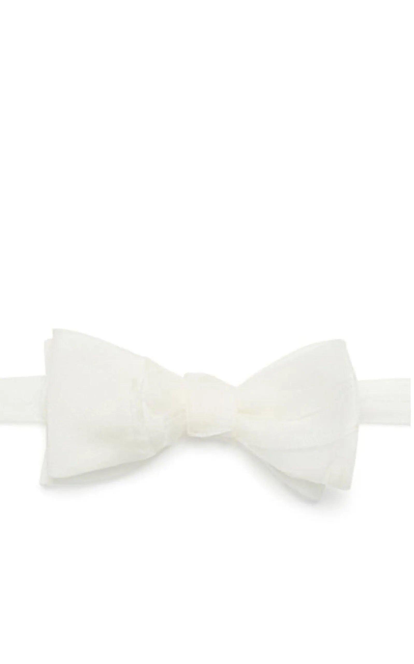Title of Work by Jonathan Meizler - Silk Chiffon Bow Tie - 2