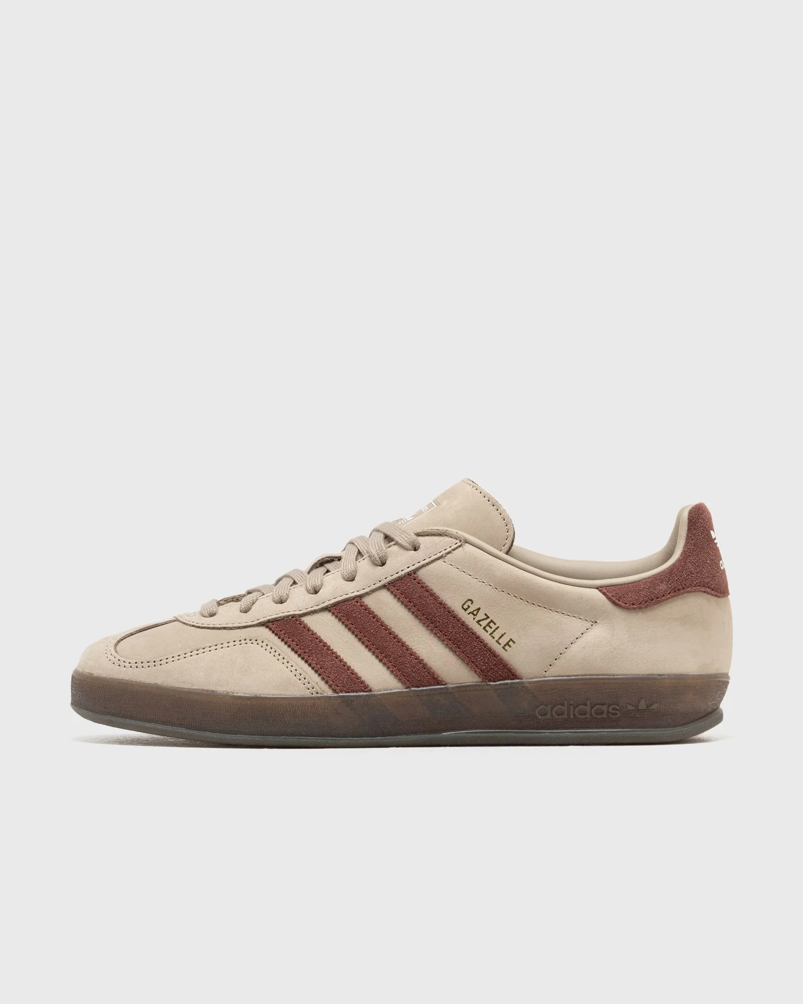 GAZELLE INDOOR - 1