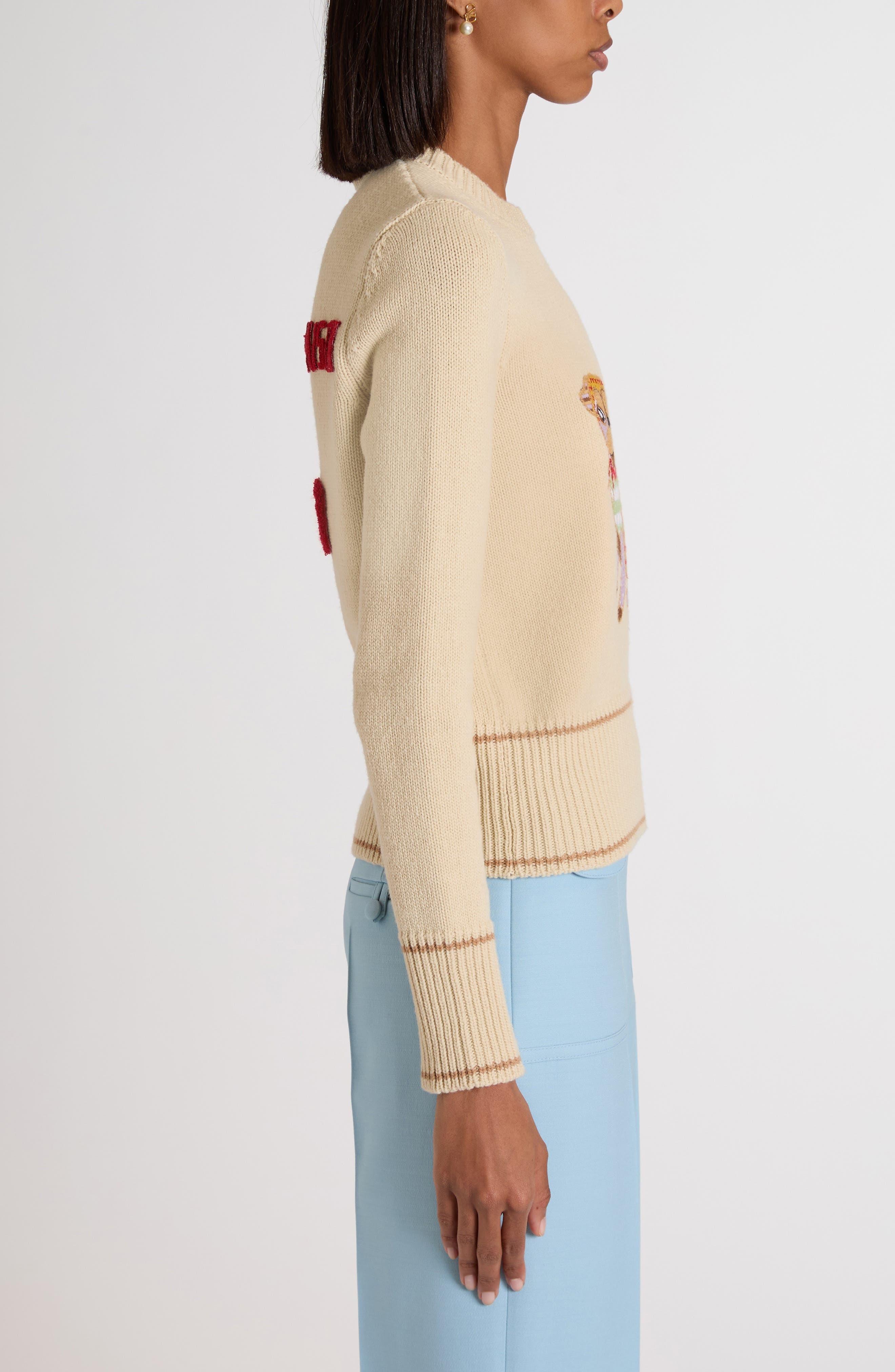 Valentino Garavani Le Chien de la Maison Embroidered Virgin Wool Sweater in Beige Multi at Nordstrom - 4