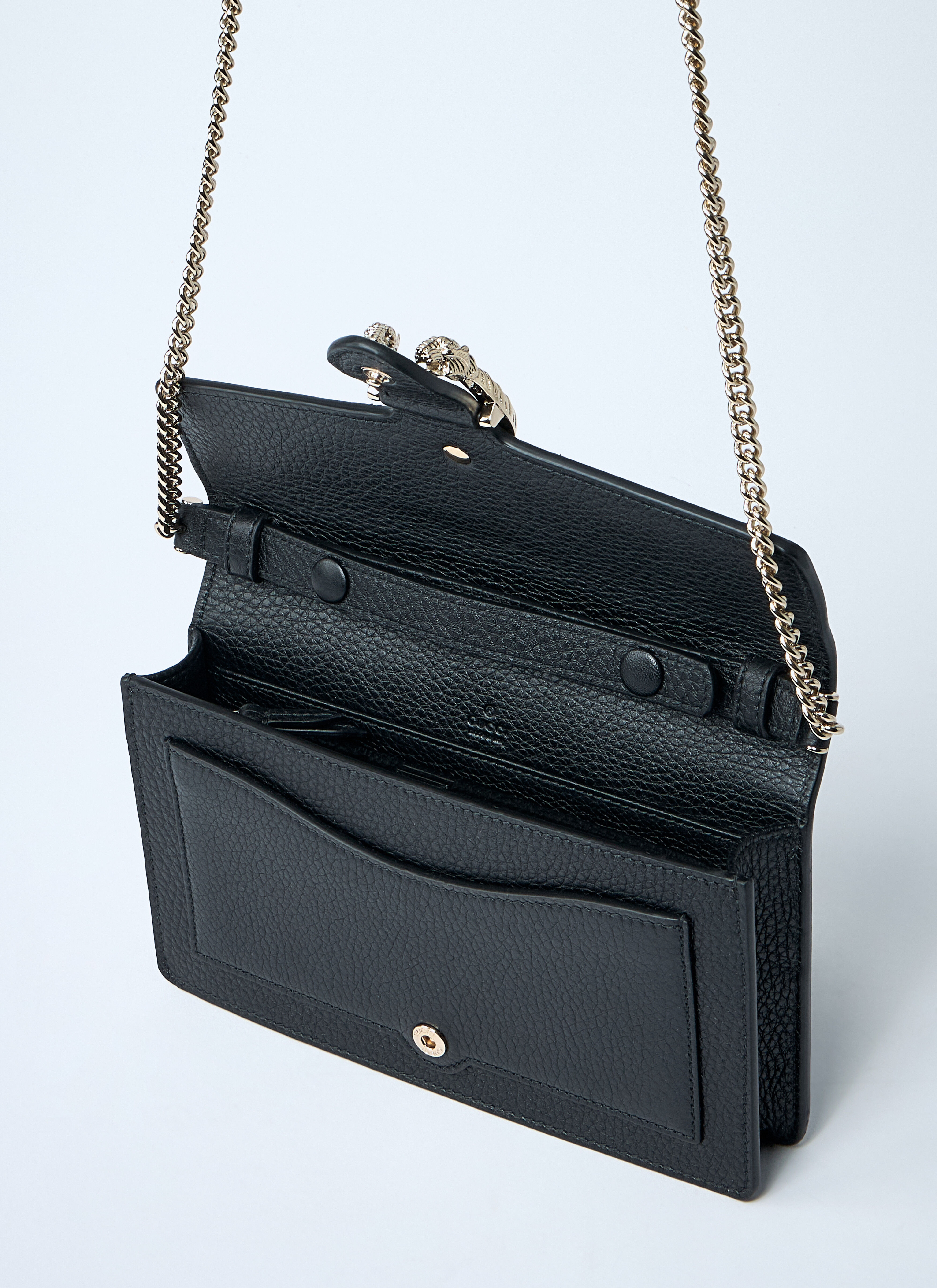 Dionysus Wallet On Chain - 5