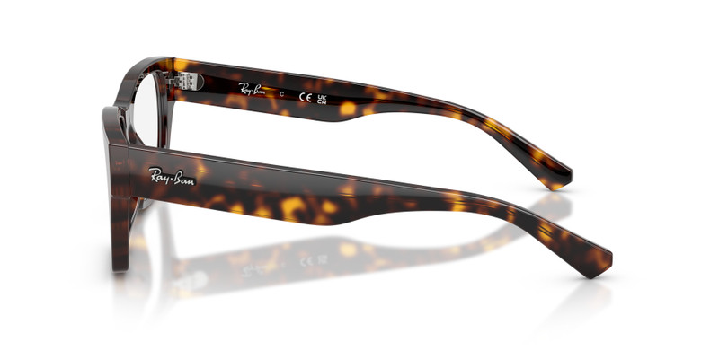 RB5448 OPTICS 5