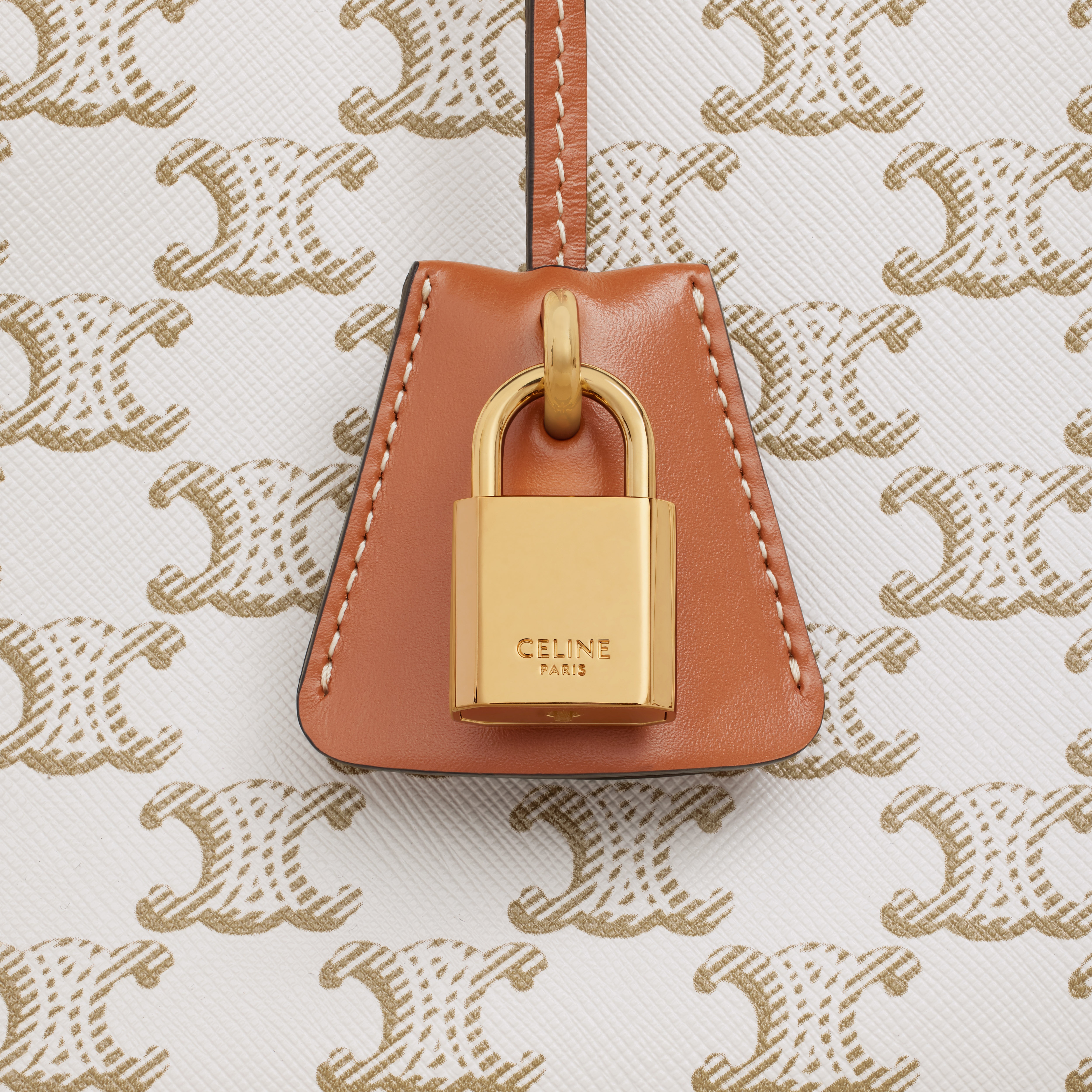 mini horizontal cabas in Triomphe Canvas and calfskin - 5