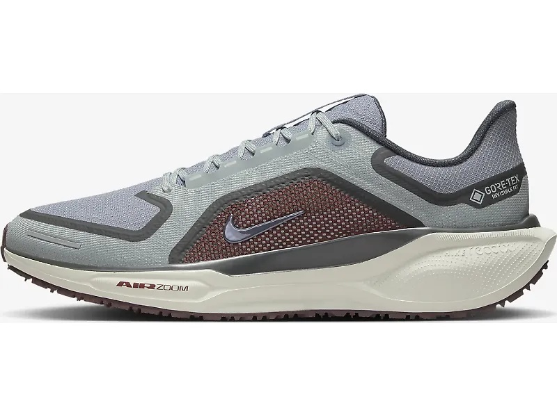 Nike Pegasus 41 GTX - 2