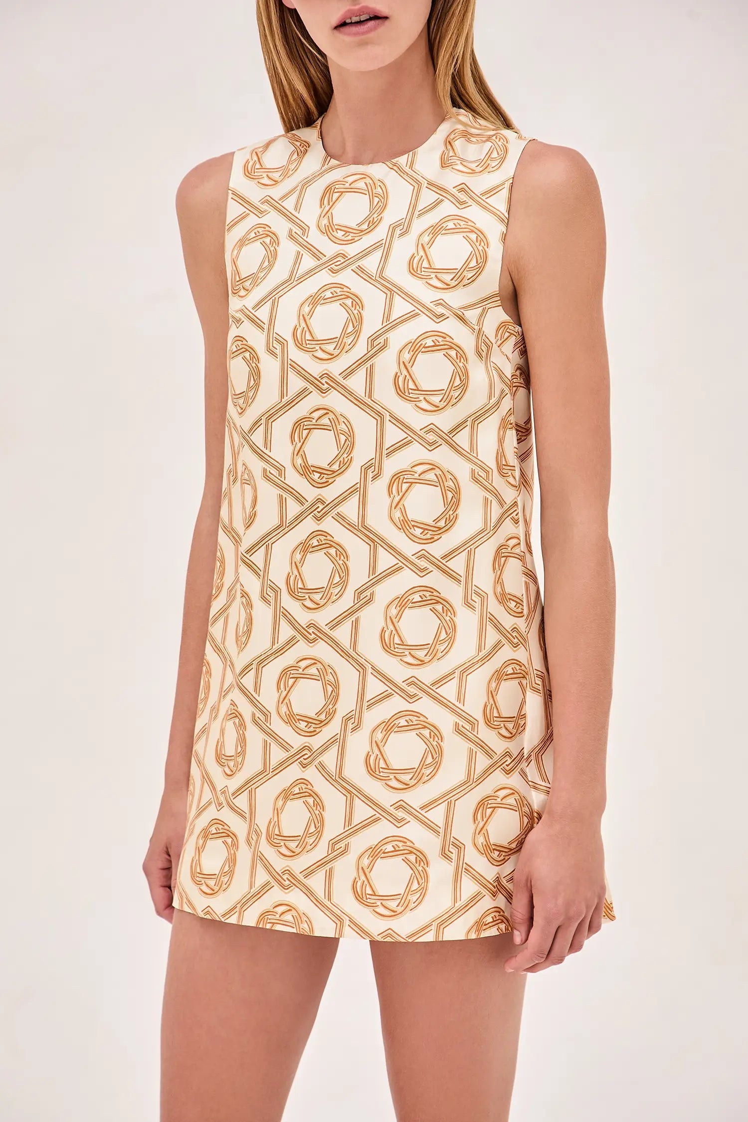 Anicka Dress - 2