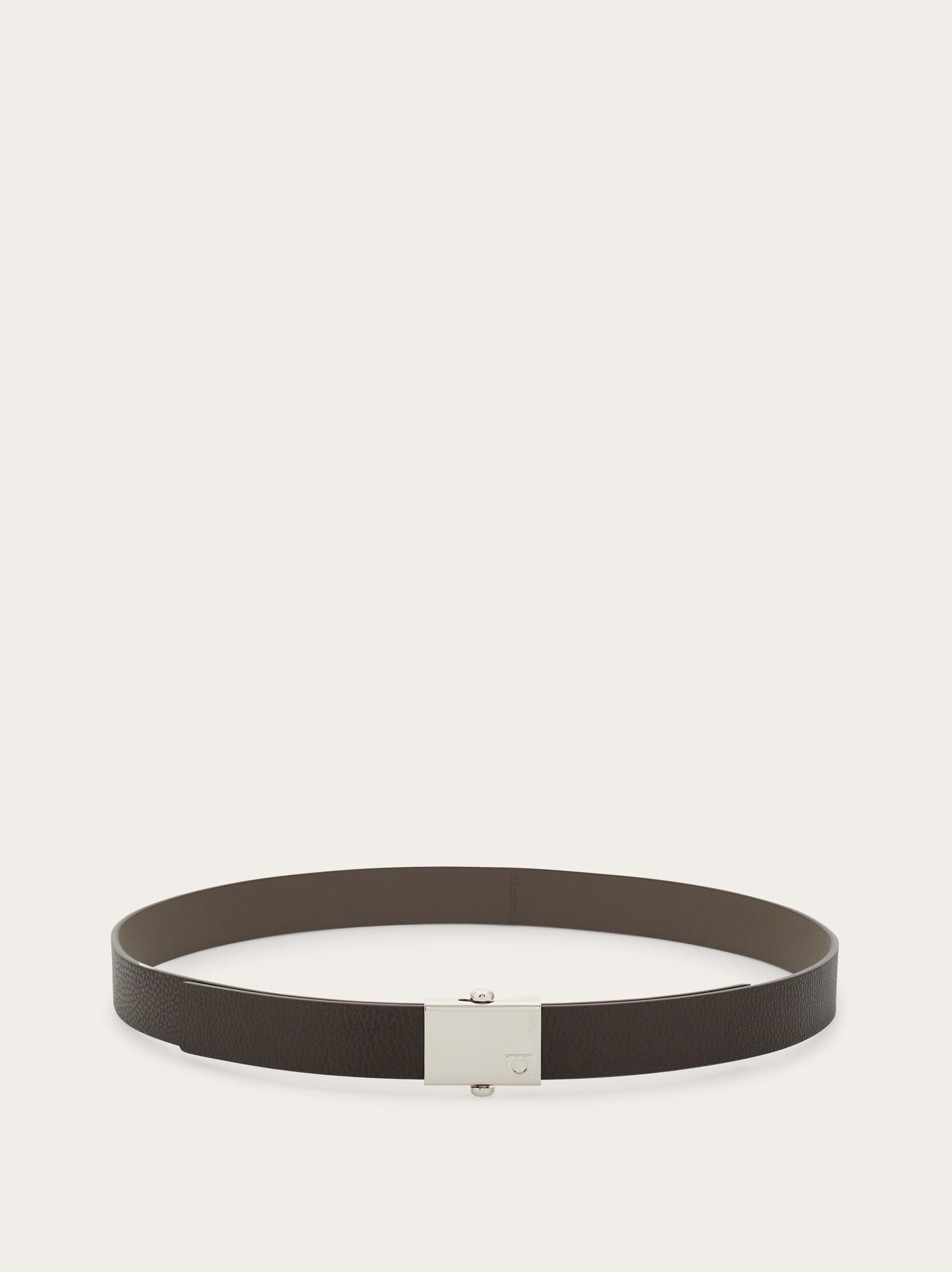 Reversible belt - 3