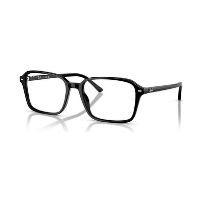 Ray-Ban RB2231 Raimond Transitions® outlook