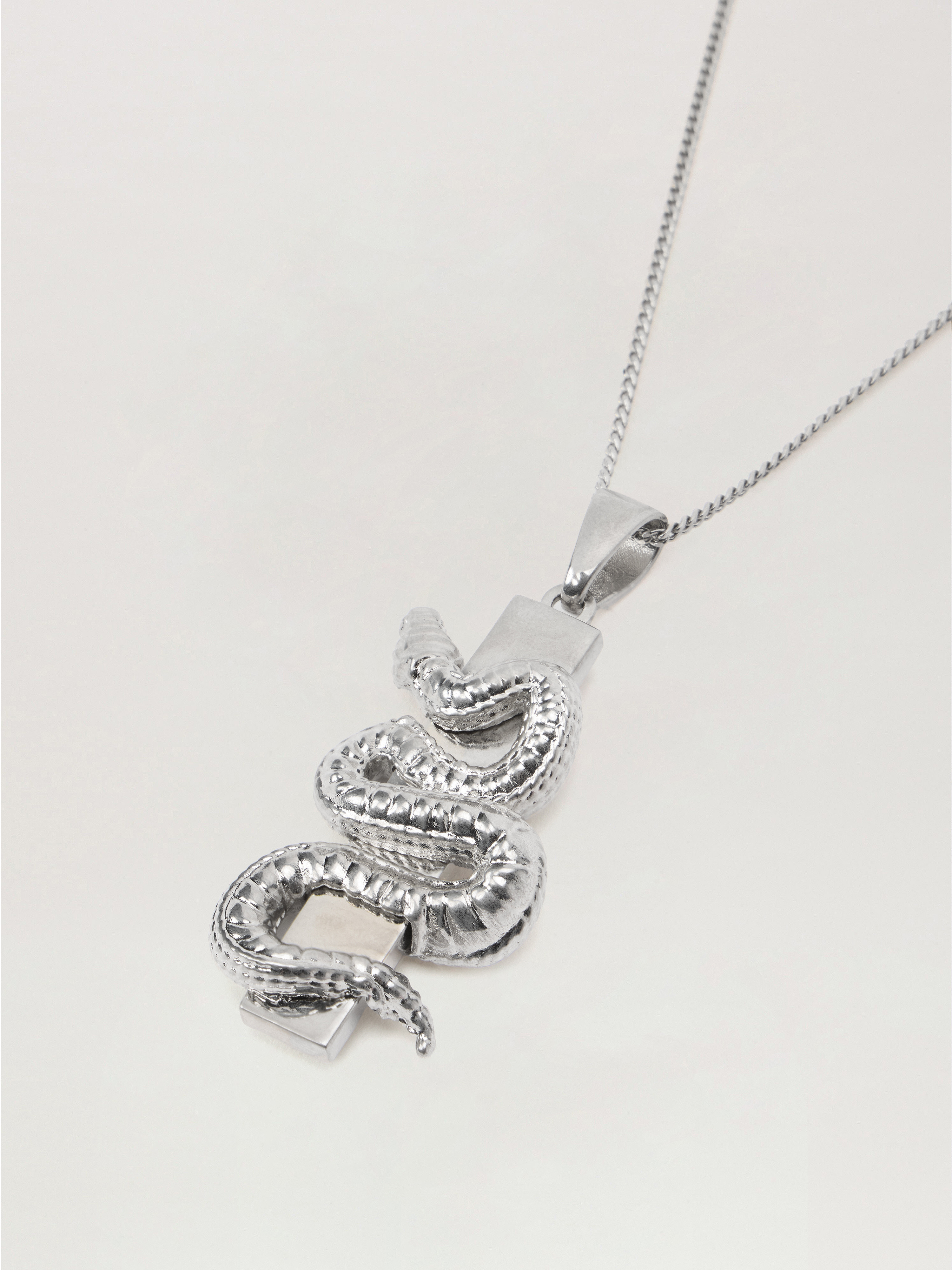 Snake Box Logo Necklace - 3
