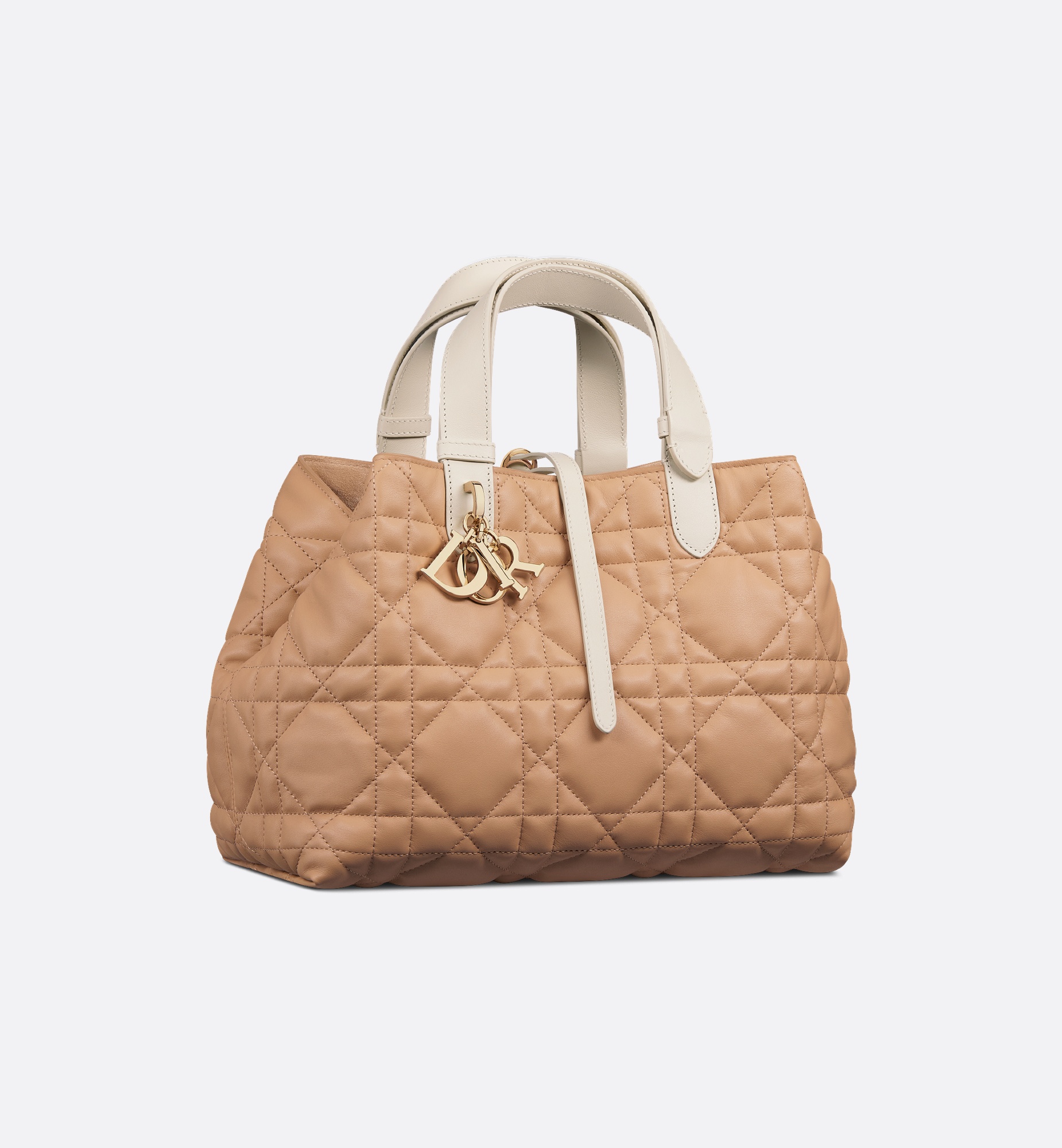 【24AW NEW】Dior_women/Medium Dior Toujours キャンバスバッグ Dior Medium Dior Toujours Bag | REVERSIBLE
