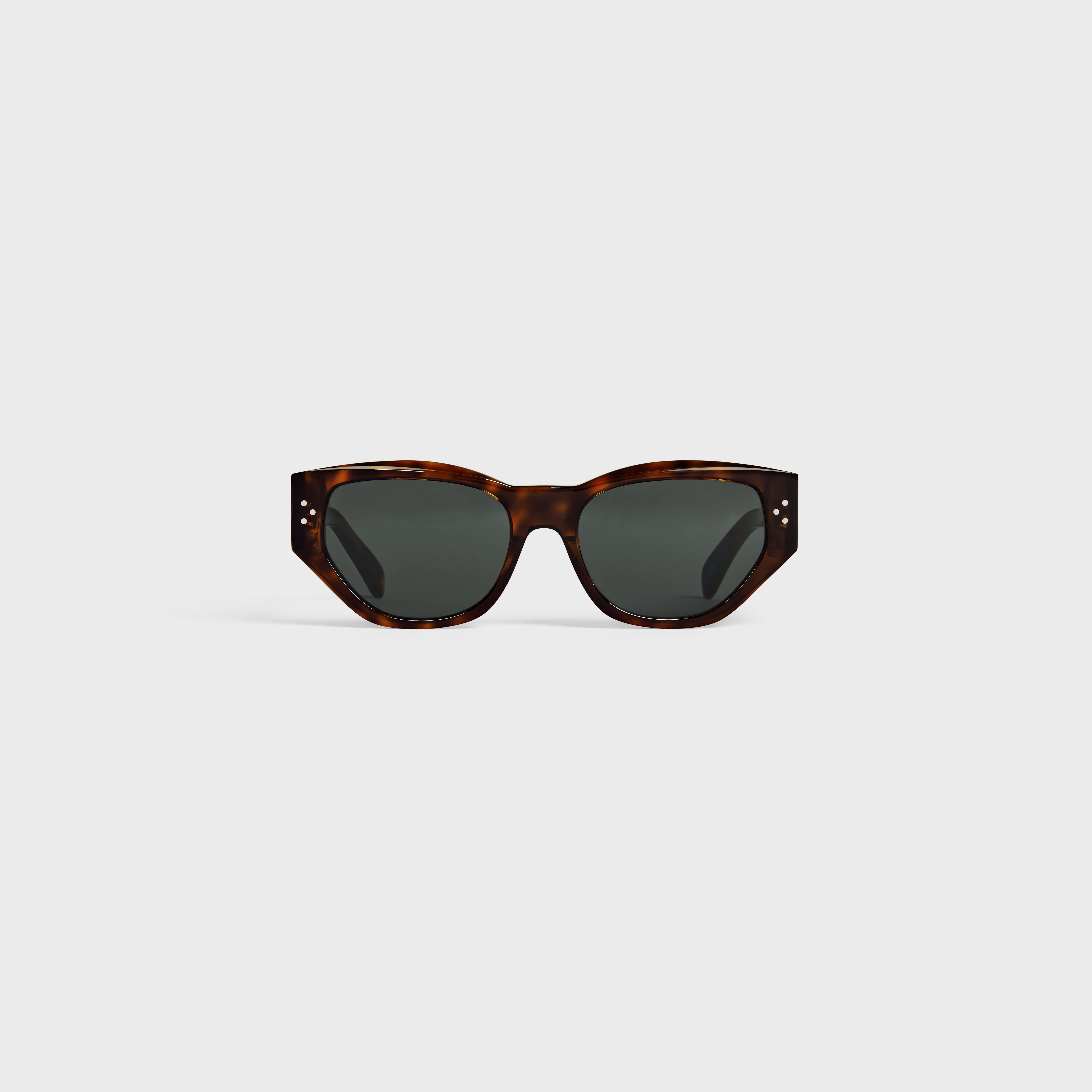 Graphic S219 sunglasses in Acetate - 1