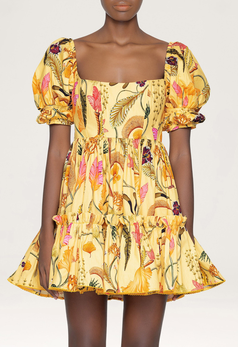 Alaria Habitat Mini Dress 5