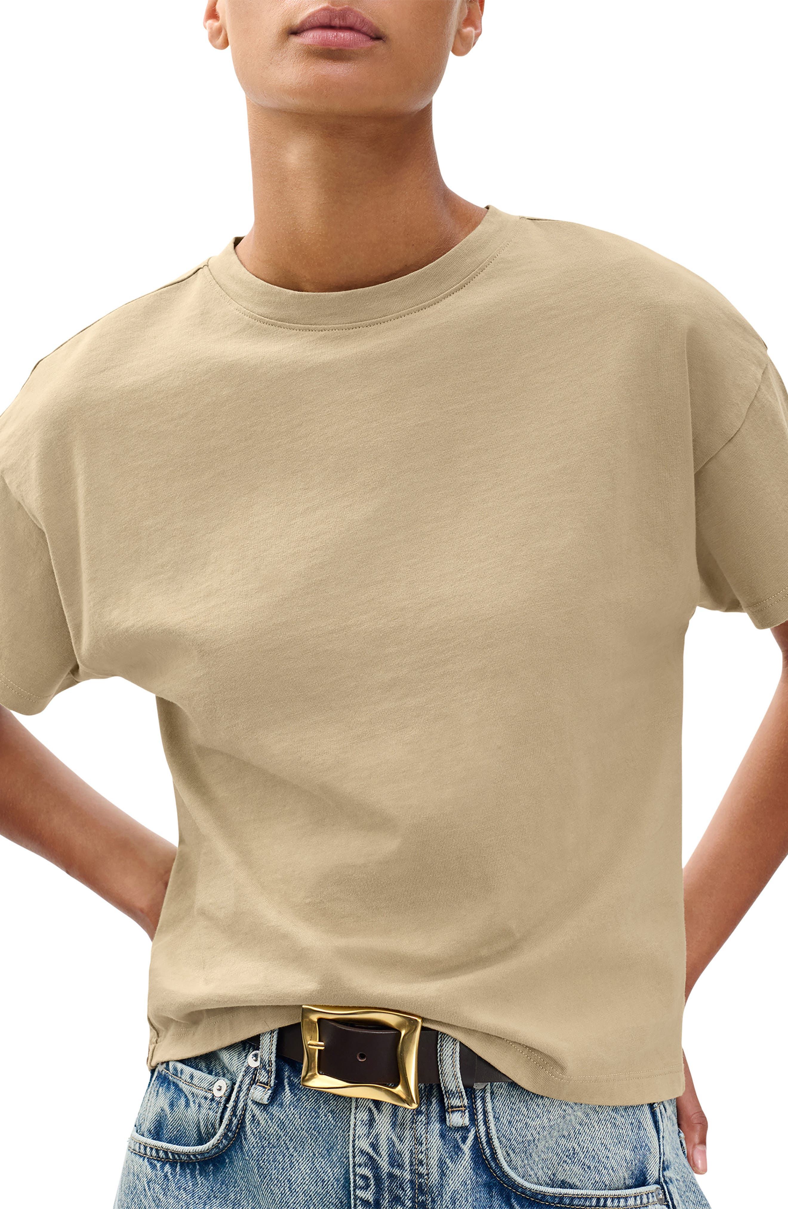 rag & bone Kelley Boxy Cotton Jersey T-Shirt in Desert Taupe at Nordstrom - 4