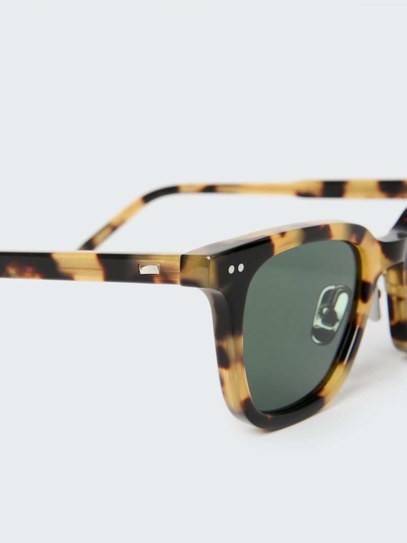 Type 1 Sunglasses 5