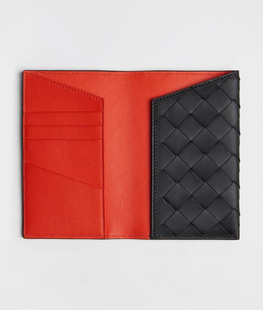 passport case - 2