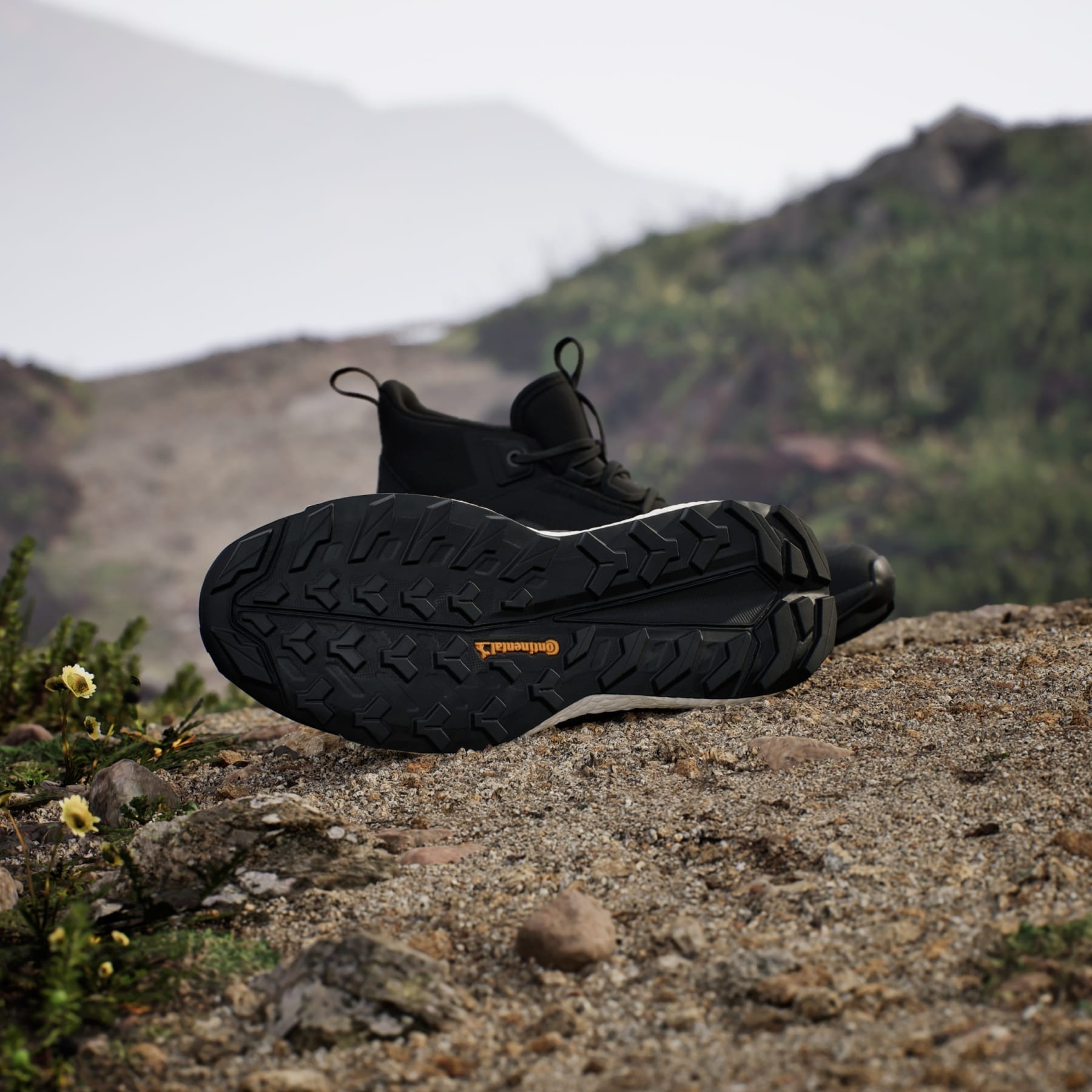 Terrex Free Hiker 2.0 Gore-Tex Hiking Shoes - 3