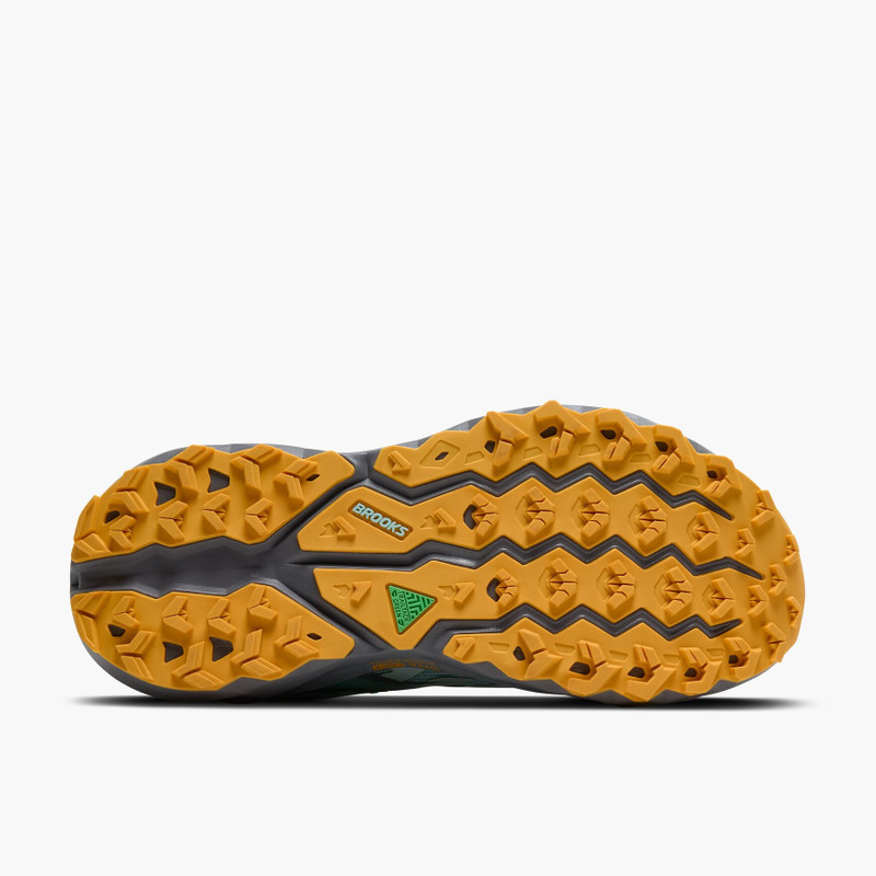 Cascadia 19 7