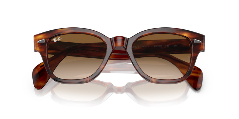 Ray-Ban RB0880S outlook