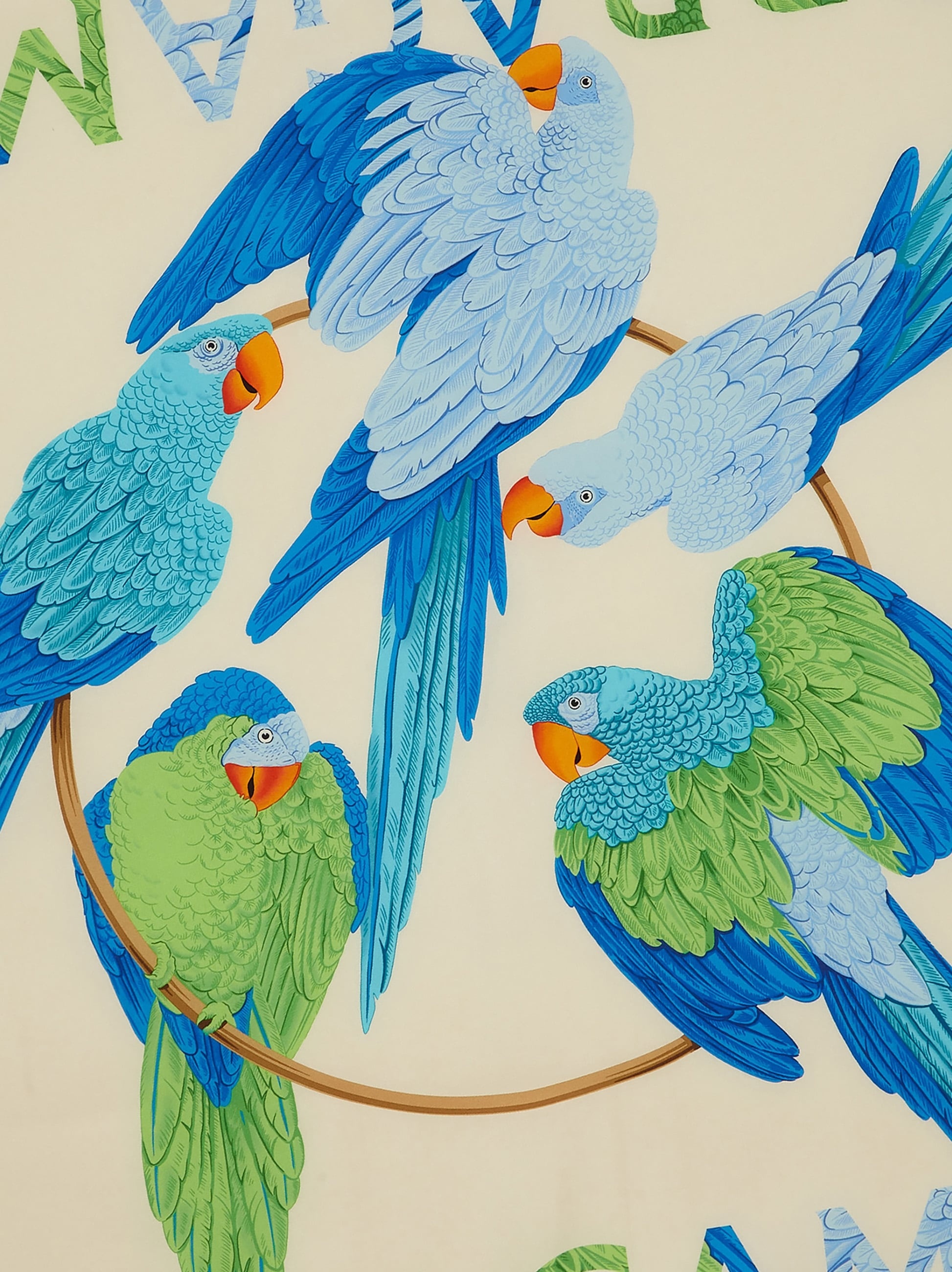 Parrot print silk foulard - 4