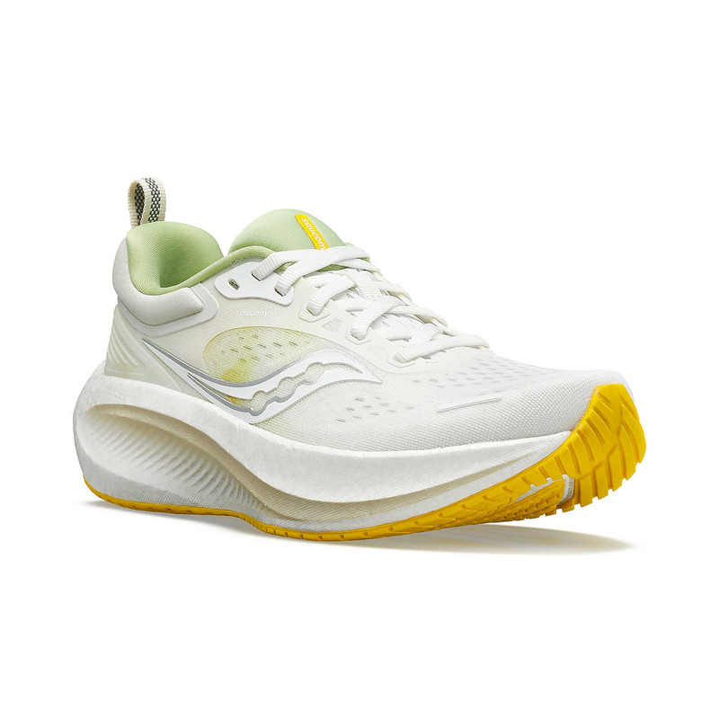 Surge 3 Mesh 5