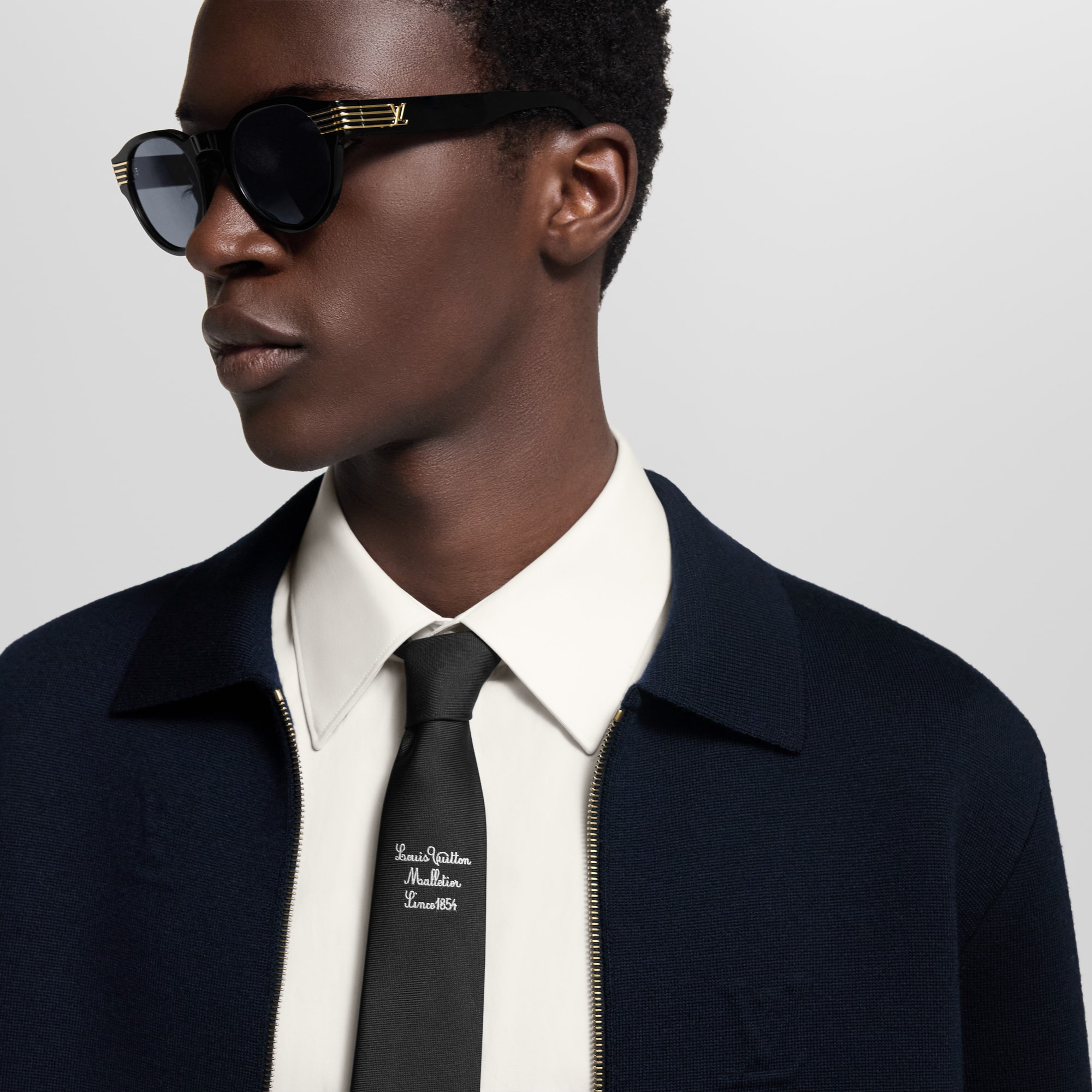 LV Malletier Tie - 6