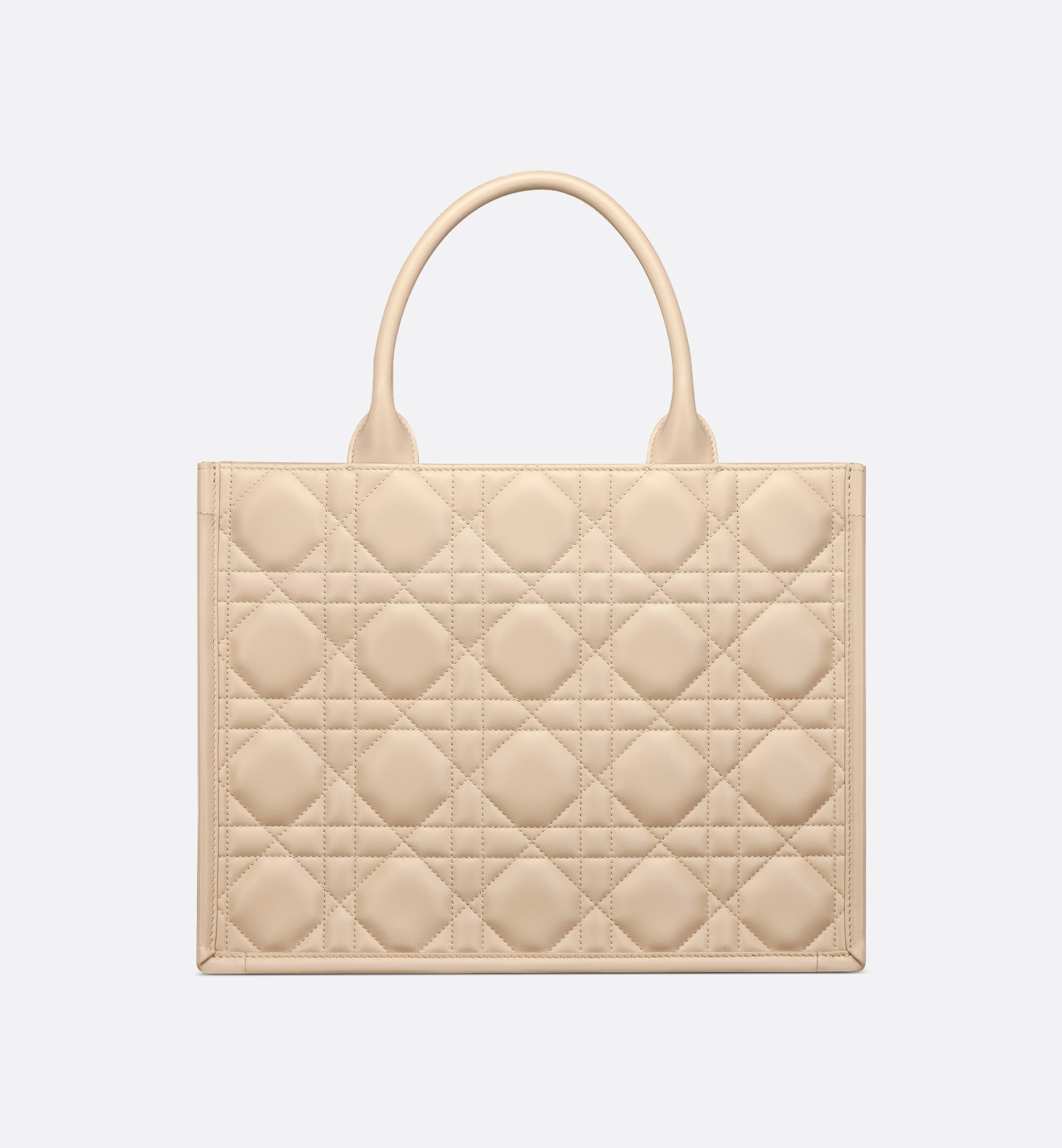 Medium Dior Book Tote - 5