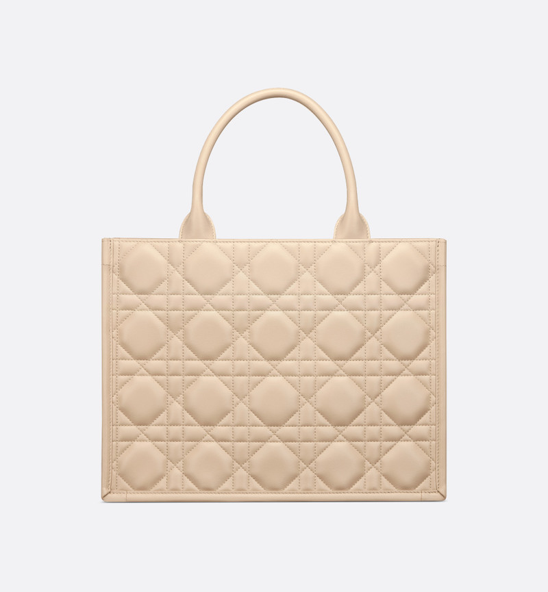 Medium Dior Book Tote 5
