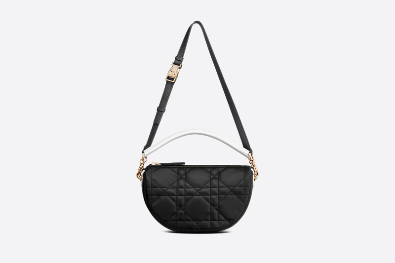 Small Dior Vibe Hobo Bag 4