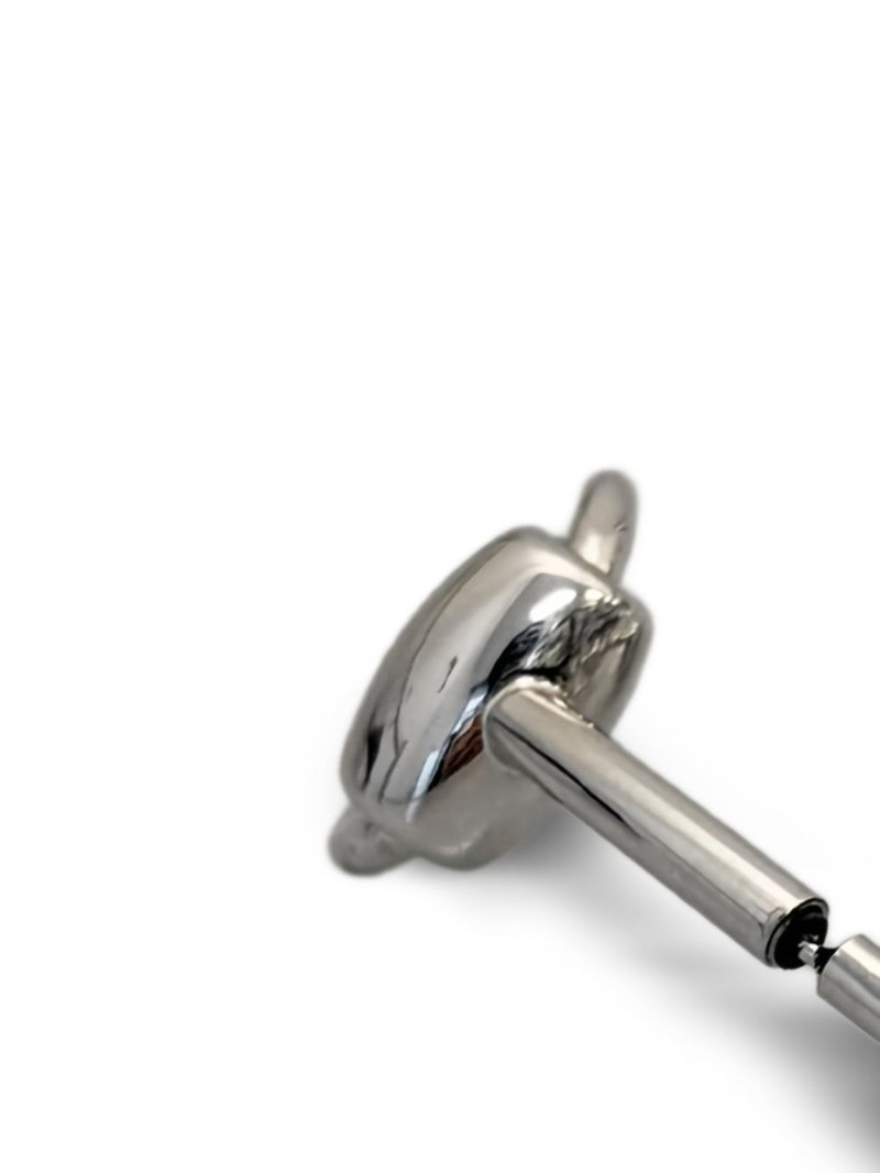 Jean Paul Gaultier Equestrian earrings outlook