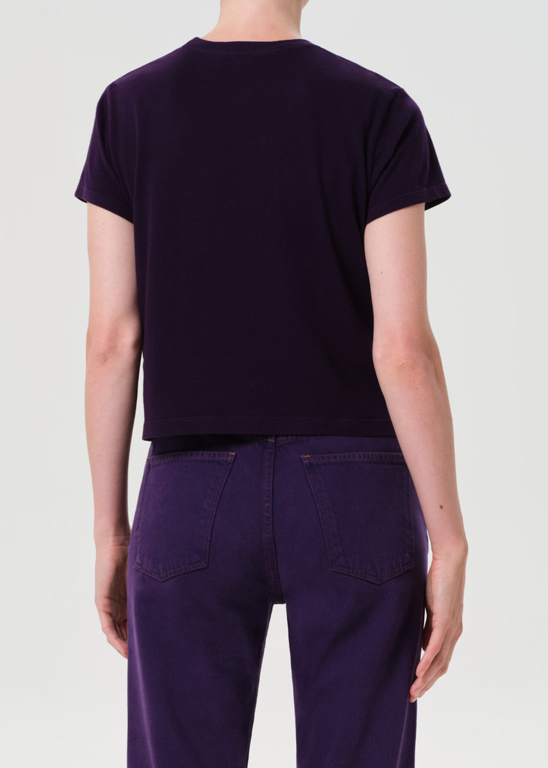 AGOLDE ADINE SHRUNKEN TEE IN CORDIAL outlook